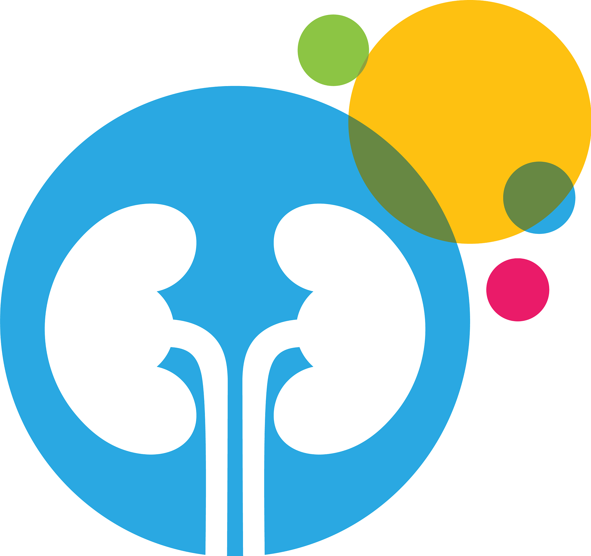 kidney