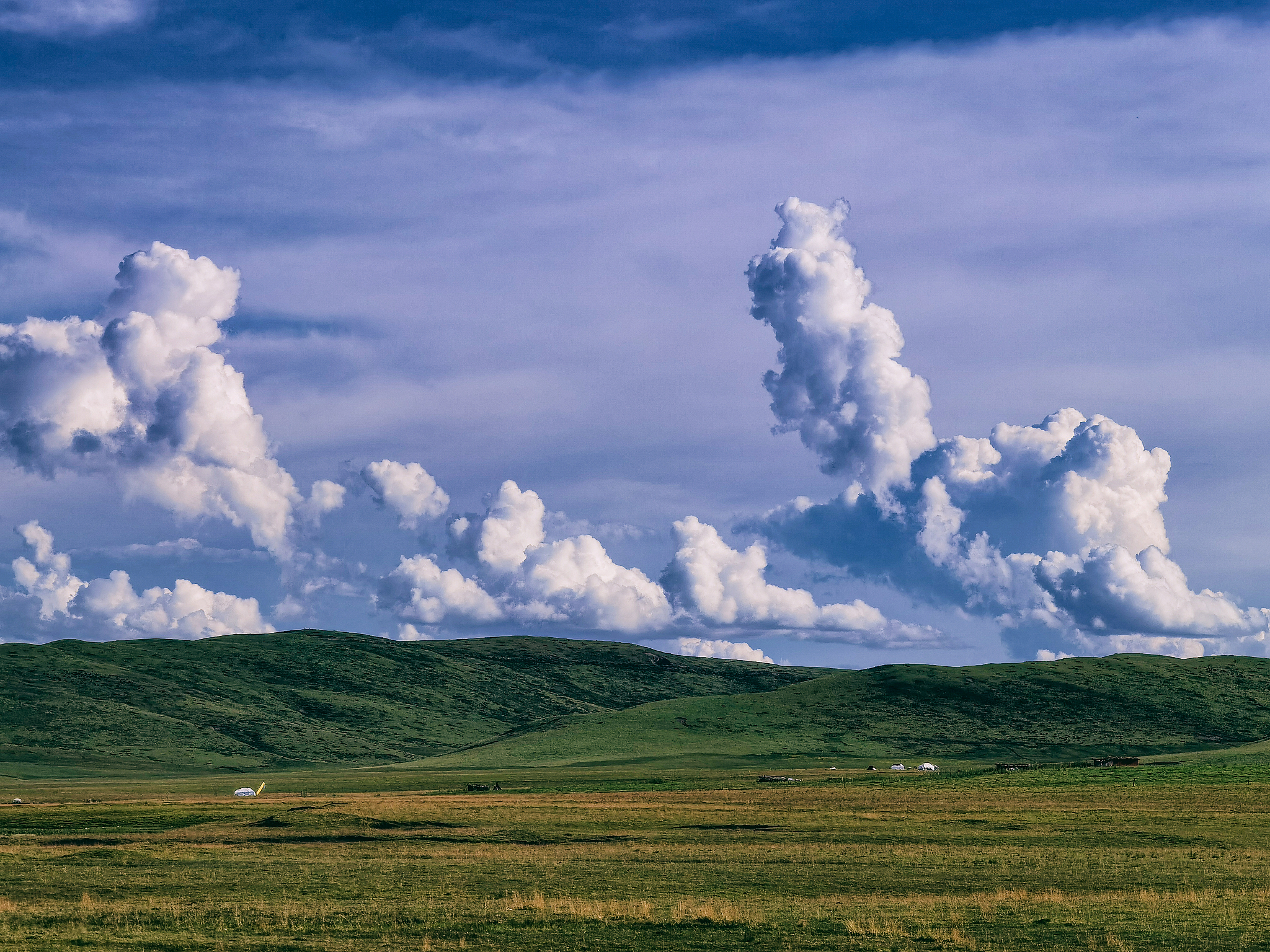 云南一片叶内蒙一片云什么意思
