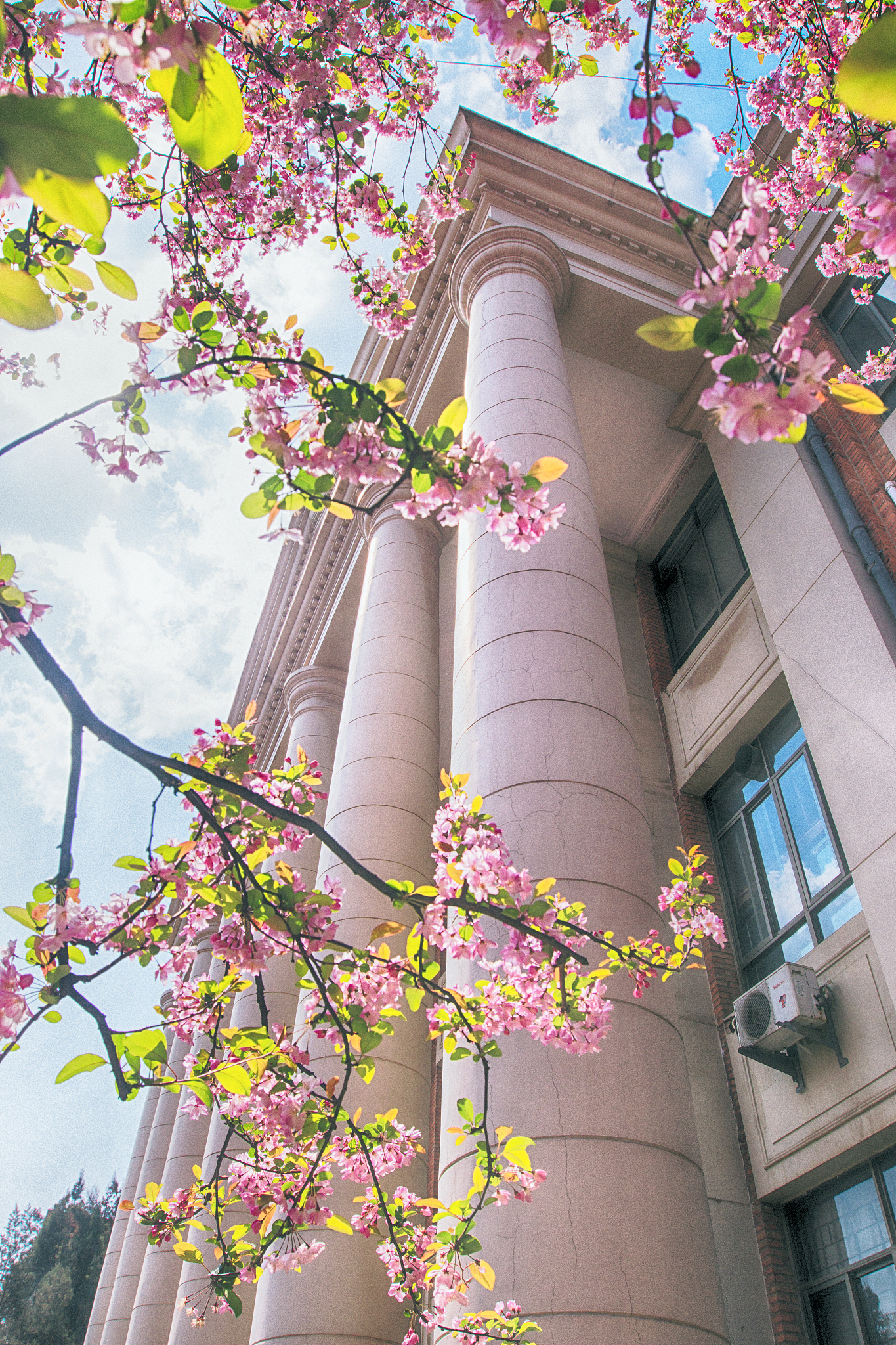 昆明2021年卫校就业前景分析：哪些医学院校值得选择？