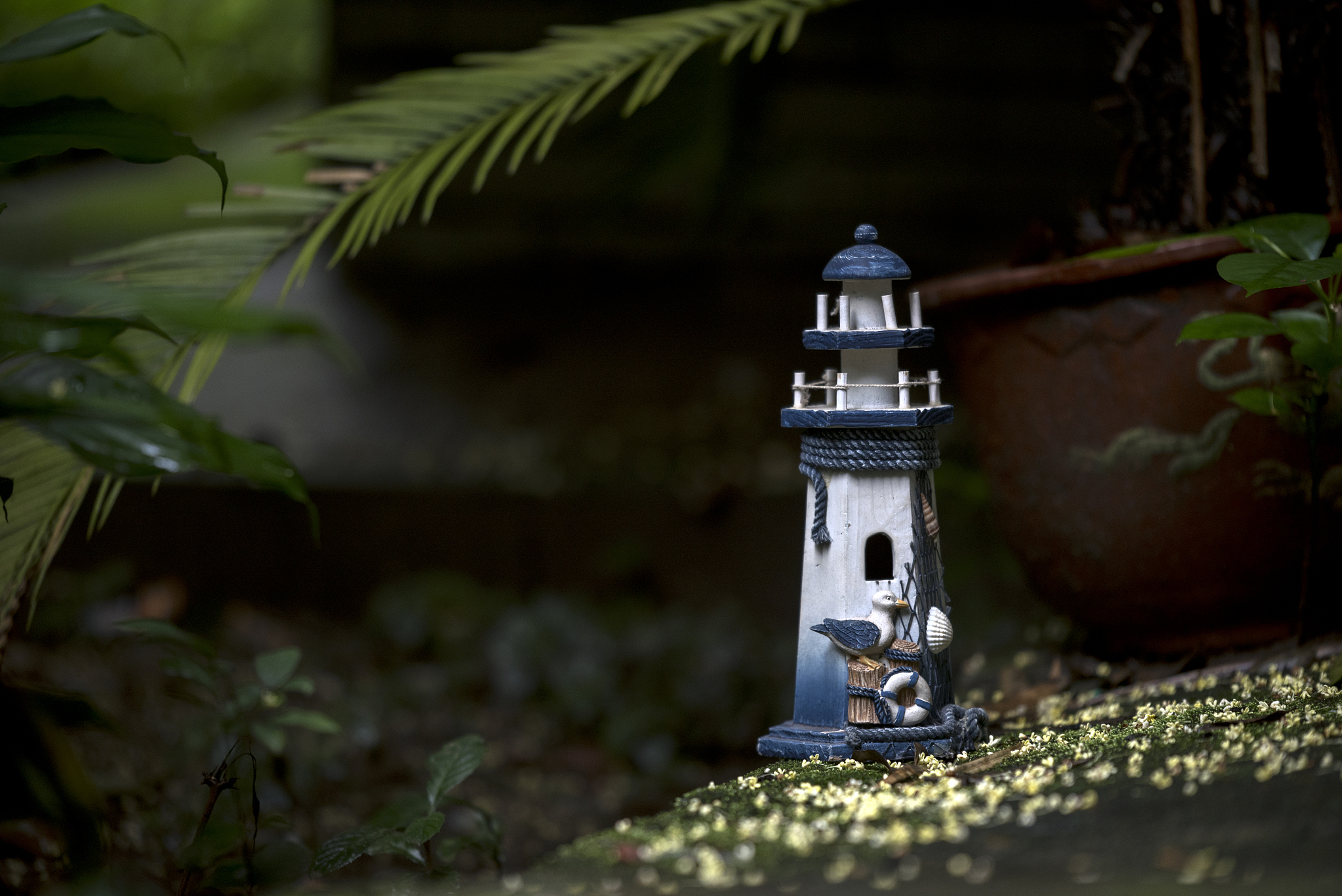 桂花施肥时间有什么需要注意的400字