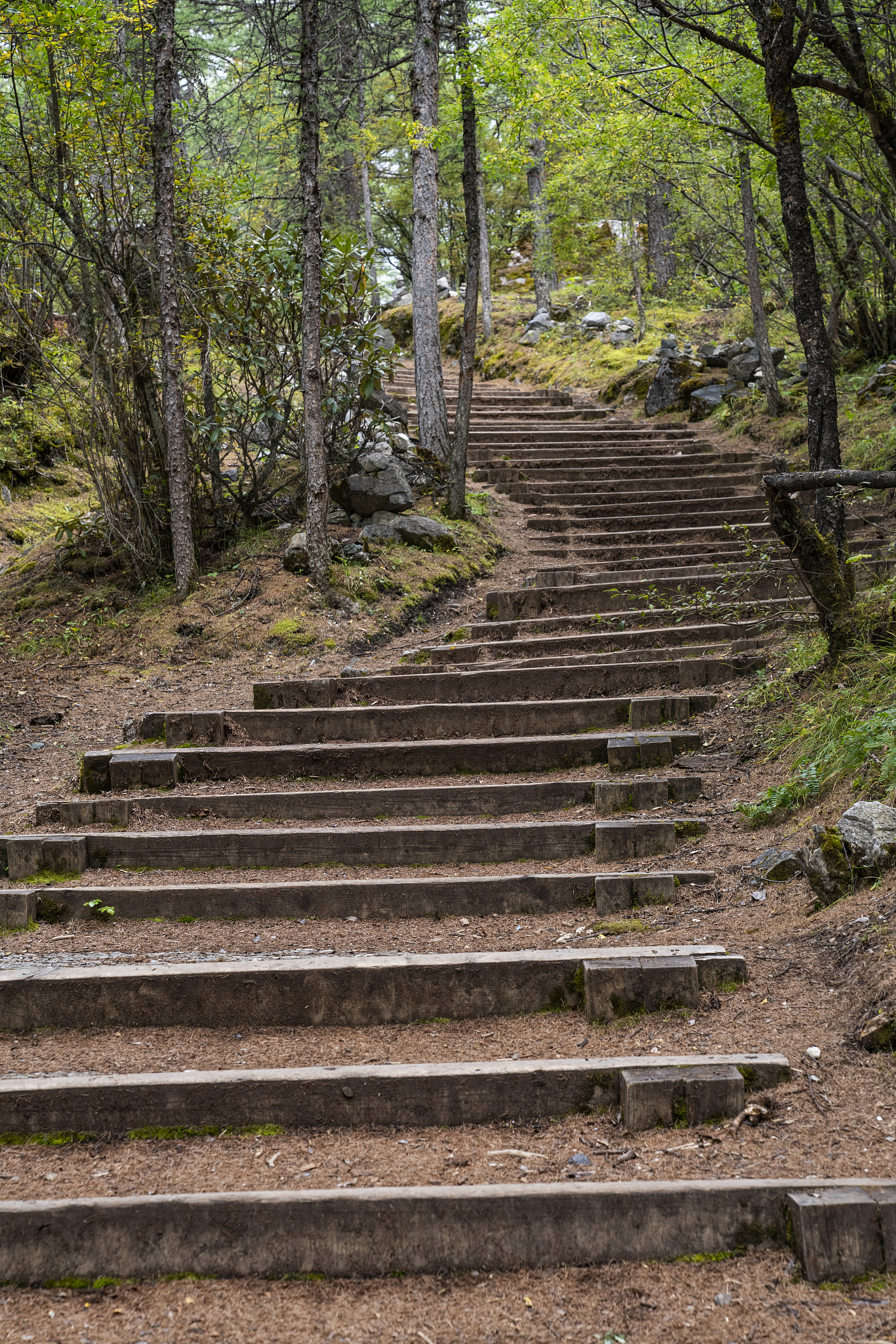 帮我做一个从江苏盐城去云南自驾游的十天旅游具体安排途径武汉-长沙-贵州-云南-香格里拉-亚丁稻城-西安备注驾驶时间酒店和景点的推荐以及各城市旅游的注意点