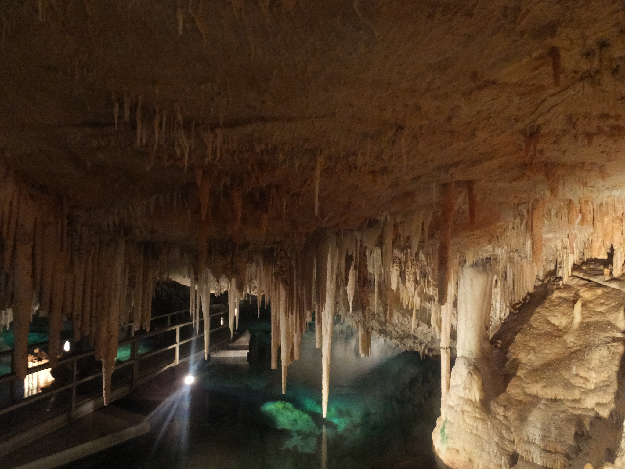 神秘水晶与受伤小鸟：一段奇幻冒险之旅