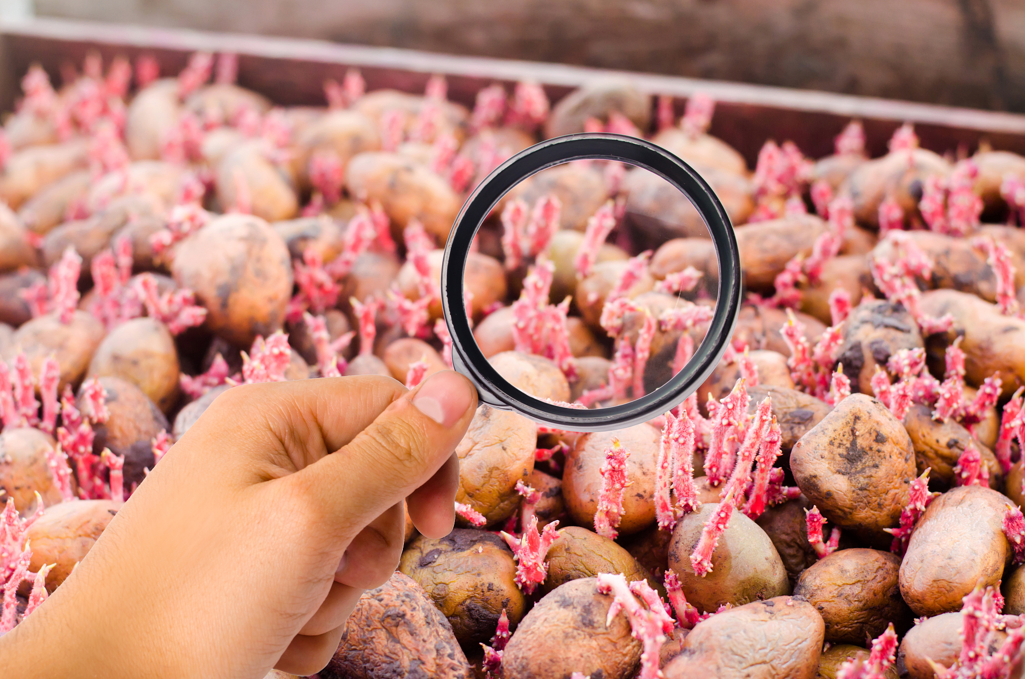 云南曲靖农业学校2019年五年制普通专科招生介绍