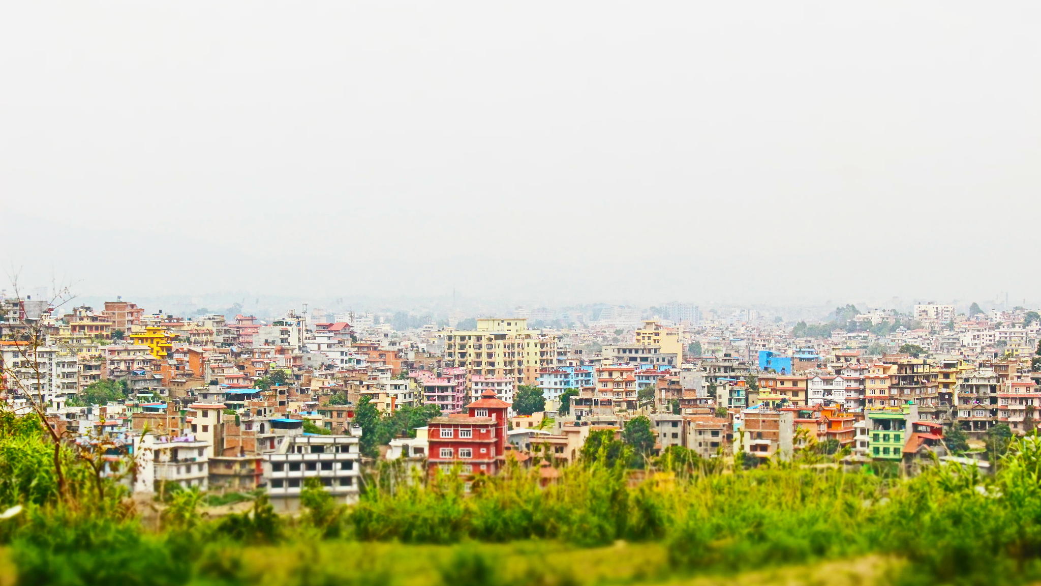green field against buildings in city