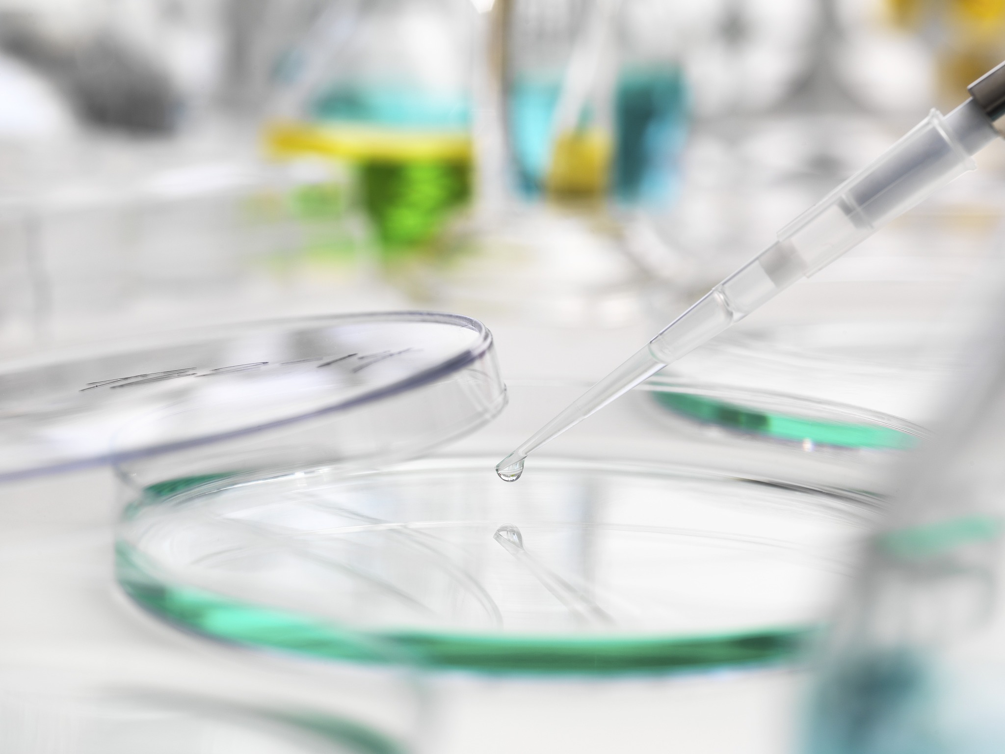 贵州医科大学化学生物学专业招生就业岗位都有哪些