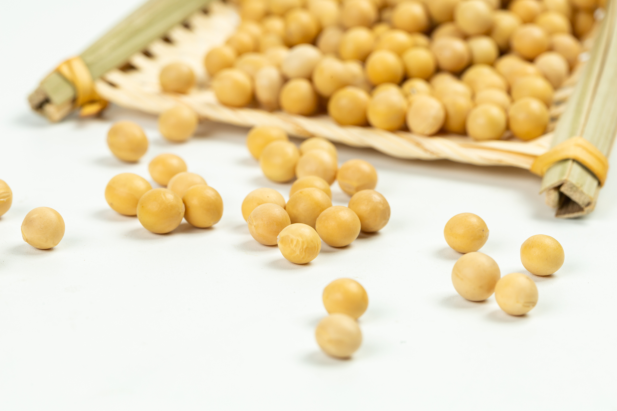 G.max是大豆的学名，详解大豆品种与分类