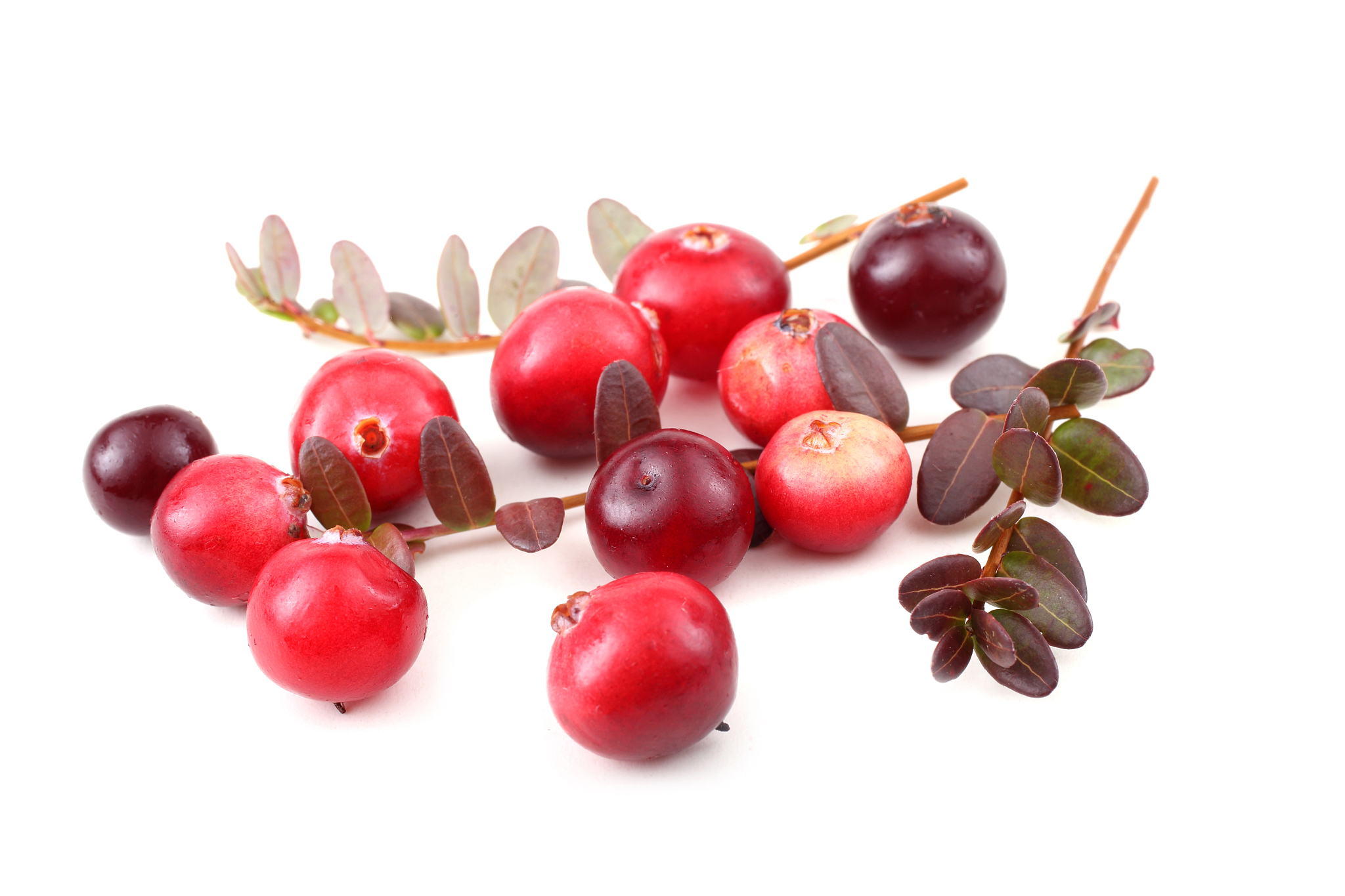 cranberries and leaves