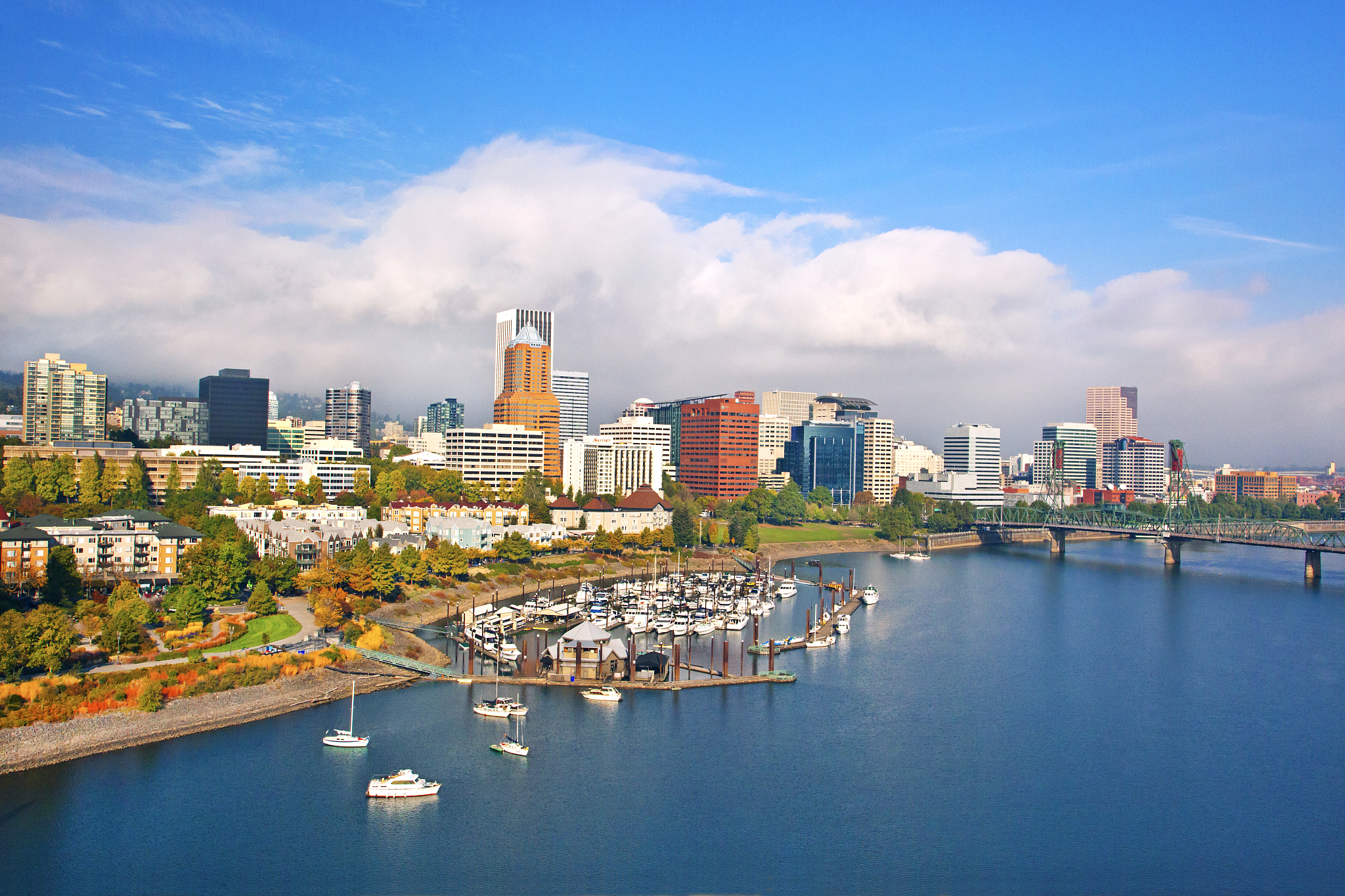 portland skyline with willemette river and fall colors, portland