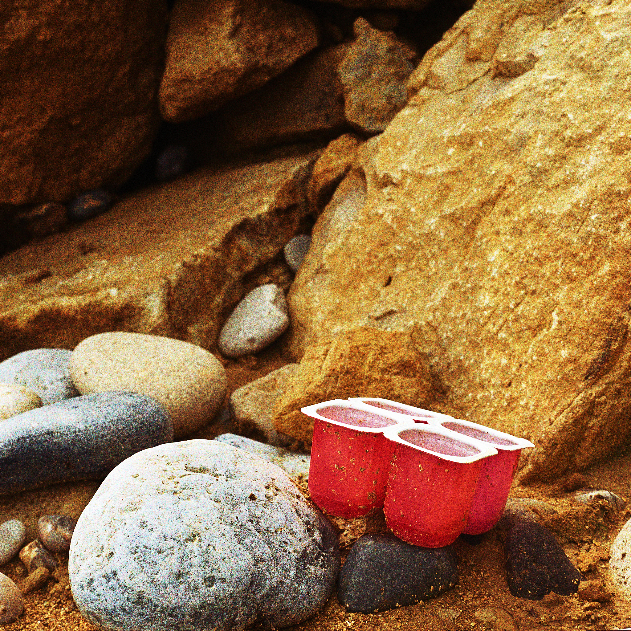 《二氧化铅电极电催化降解农药废水》的400字文章