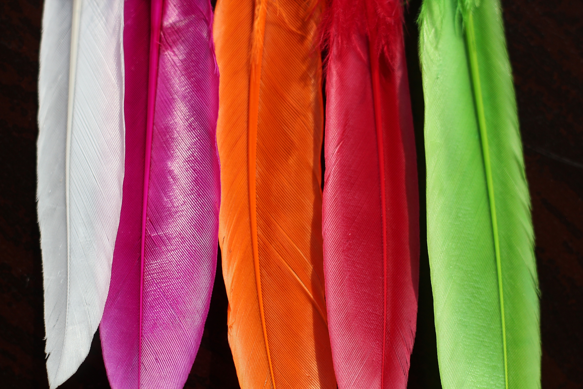 feather