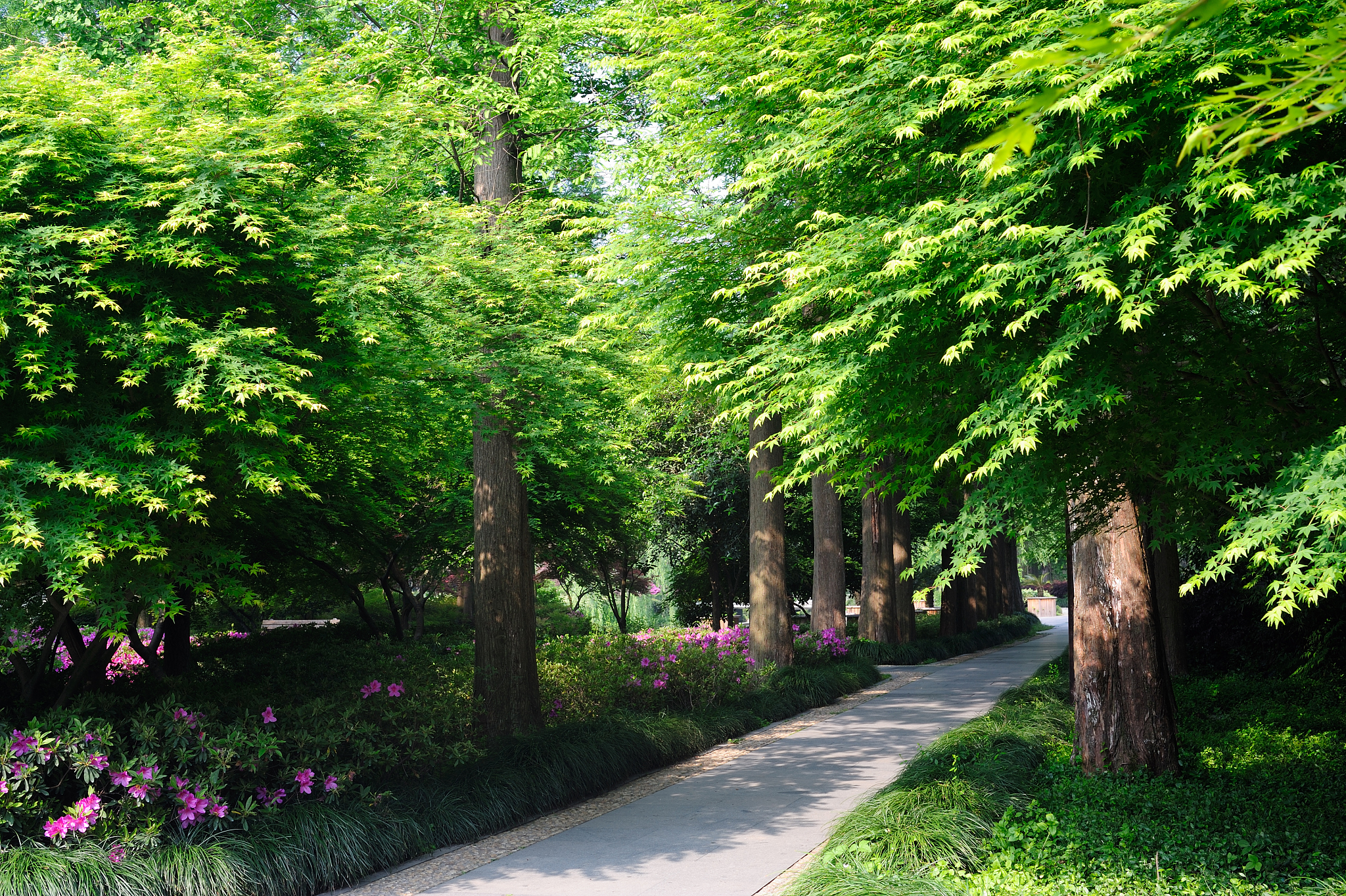 紫罗永恒花园的精典语录