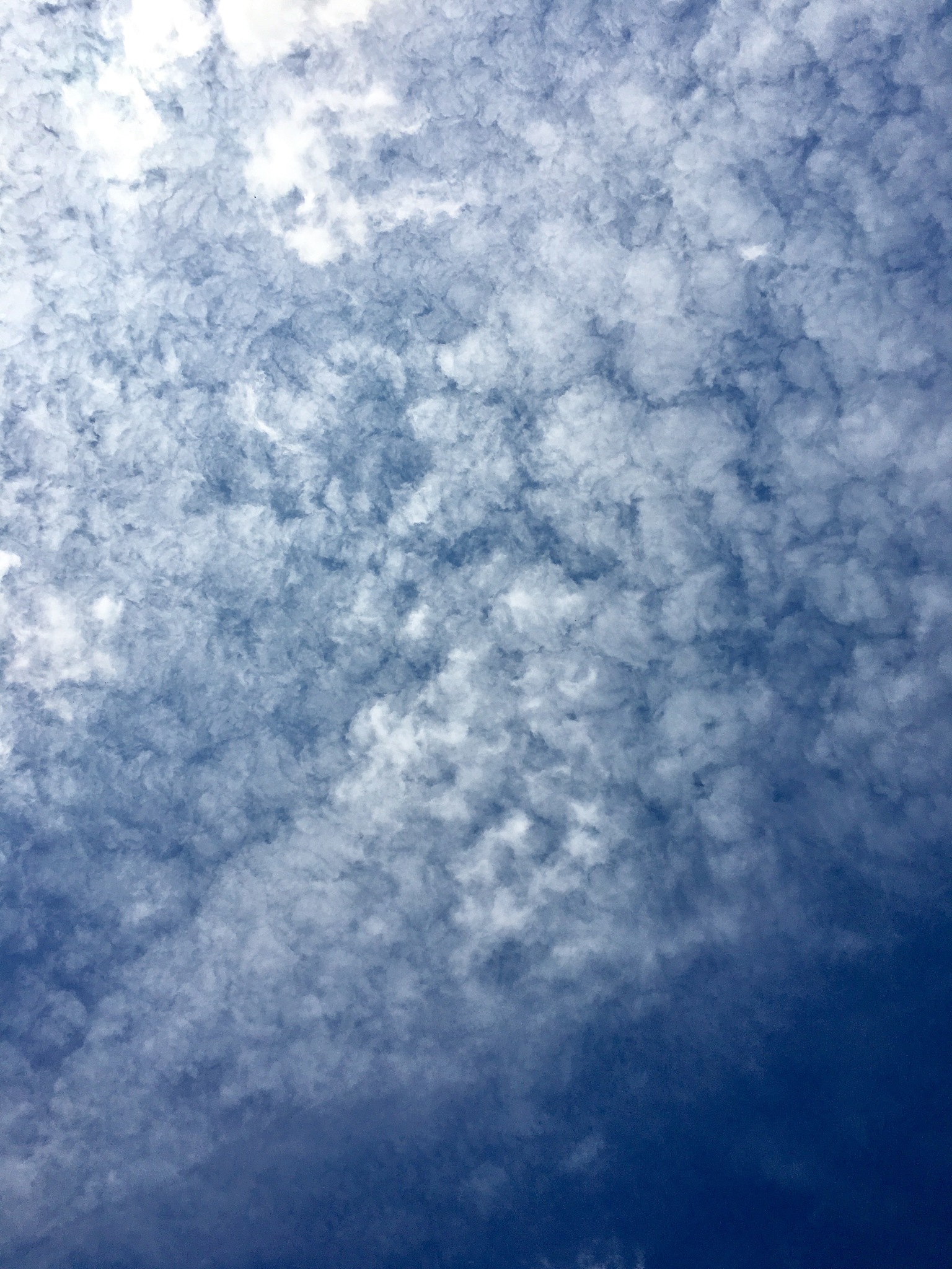 重庆传媒职业学院怎么样_学校环境好吗