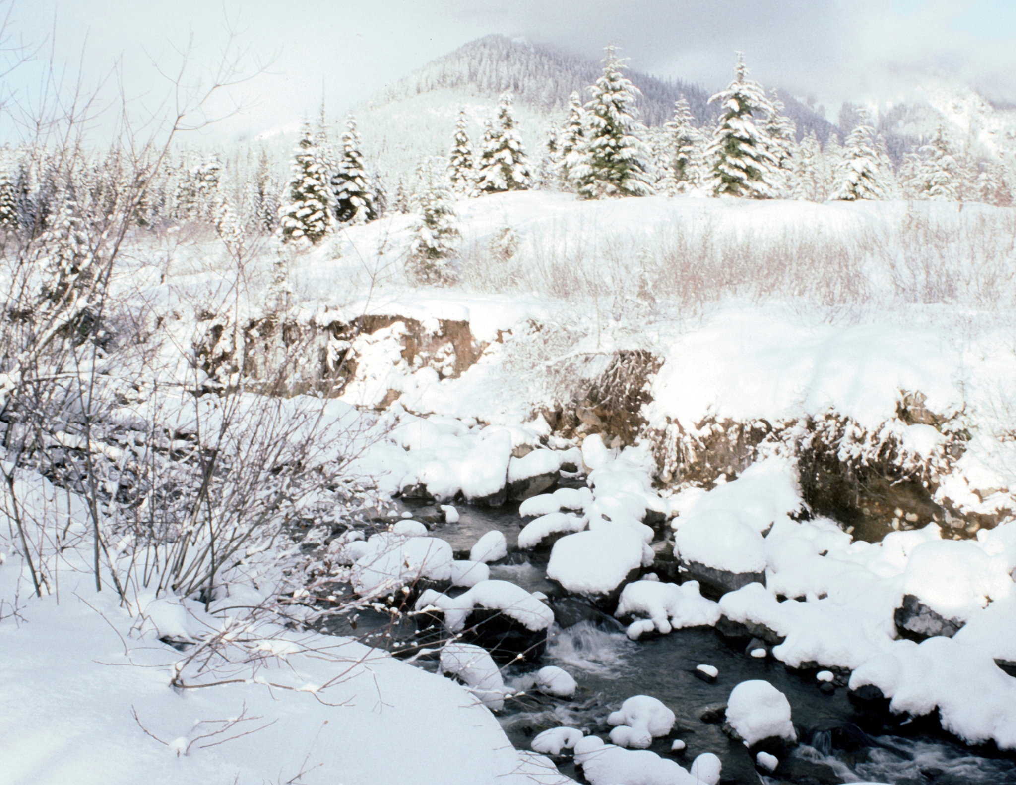 扮演一名文化领域博主写篇1000字明日进七九七九河开雪打七九头有啥预兆？农村谚语咋说的？的文章