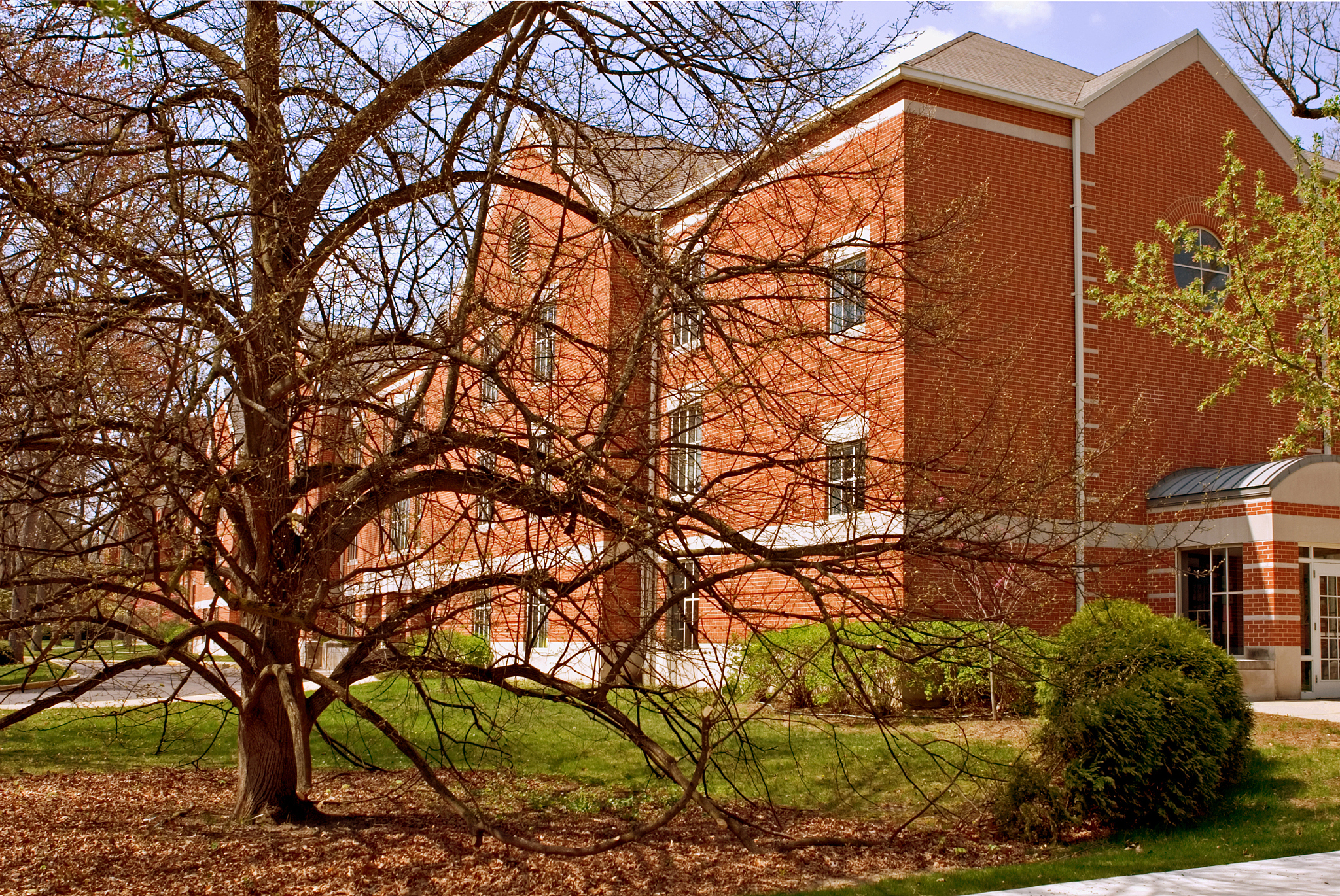 college dorm