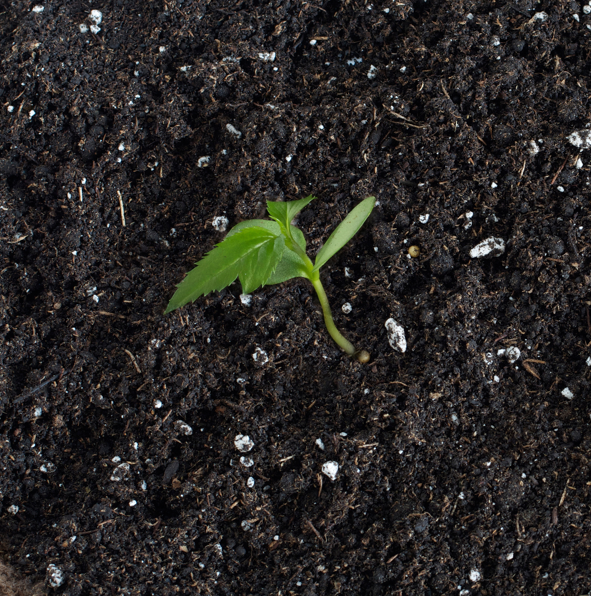 万安职业中等专业学校2022年招生简章 - 报名指南及专业介绍