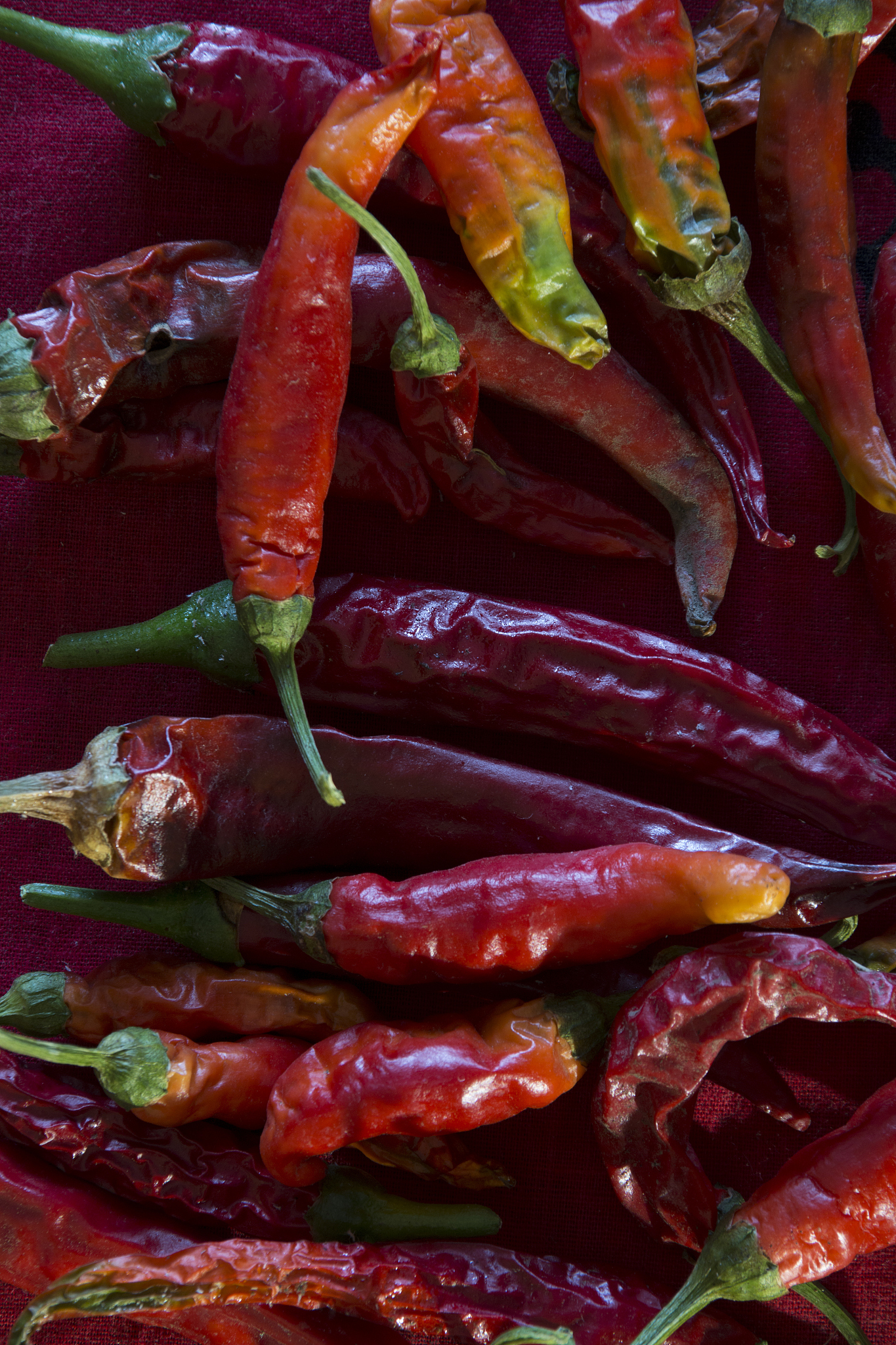 red hot pepper
