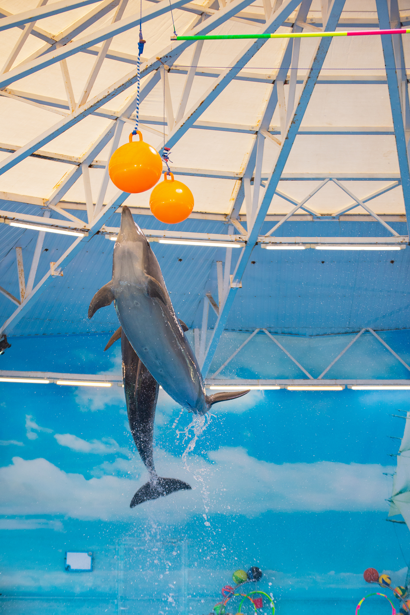 correct the grammar mistake of the sentenceYes when I was in primary school we arranged a field trip to the aquarium and it was my first time seeing a dolphin show