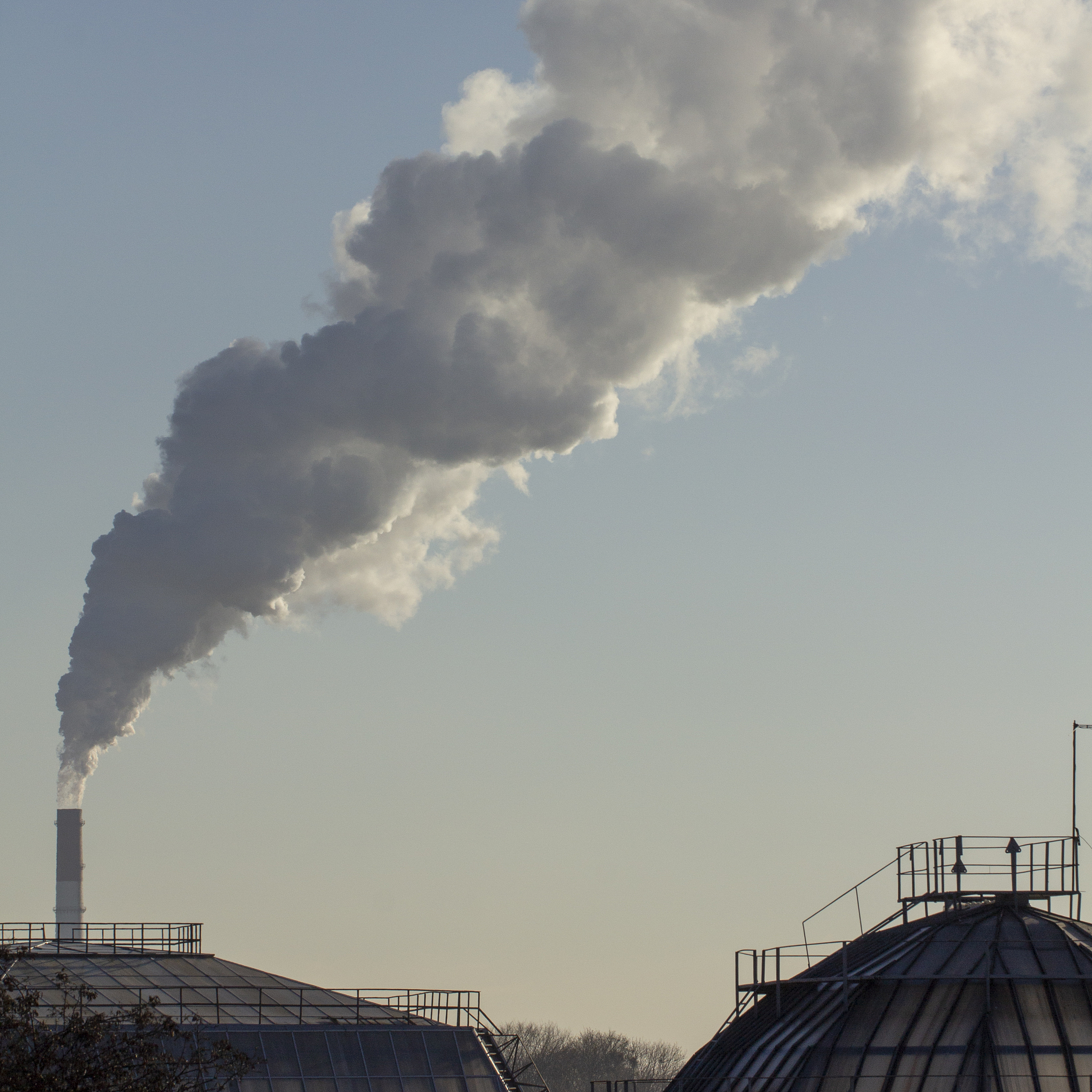 生物学技术在环境科学与工程中的应用：联系与实践