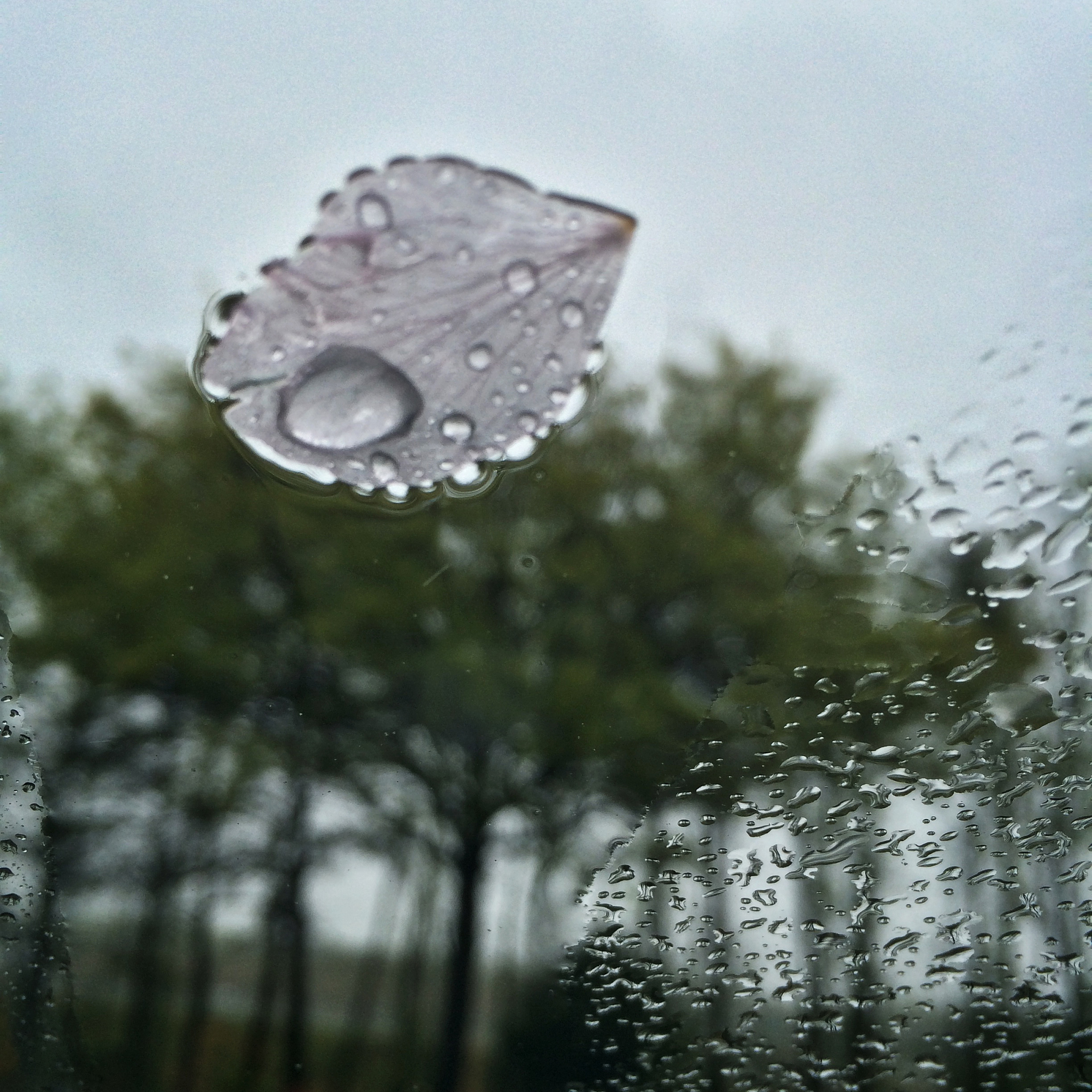 雨中诗意：写一首关于下雨的诗歌