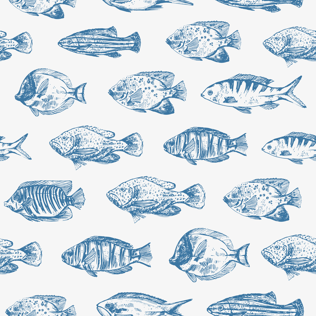 矢量海洋生物无缝图案.海洋珊瑚鱼白色.海洋生物背景.