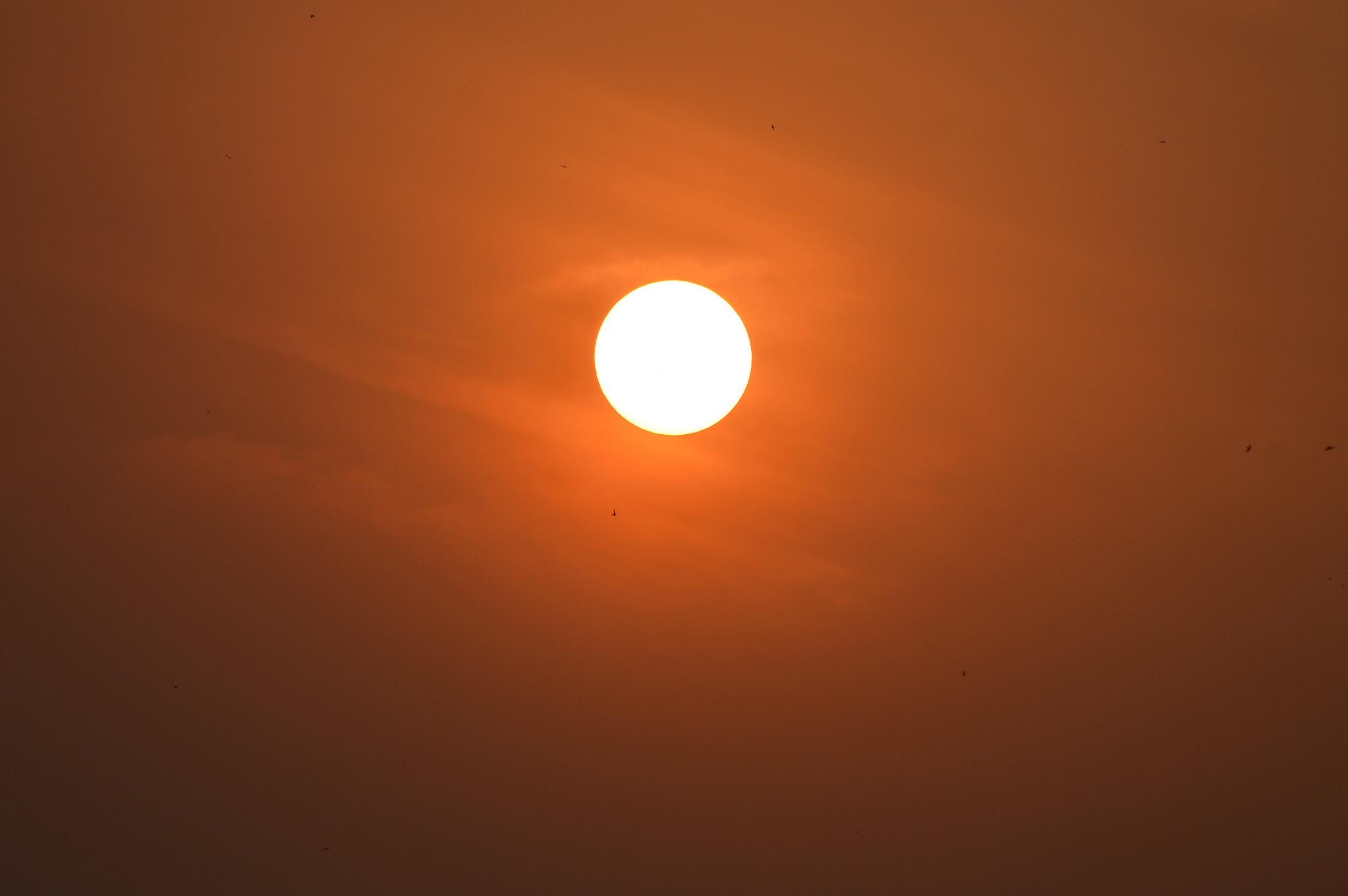photographic image