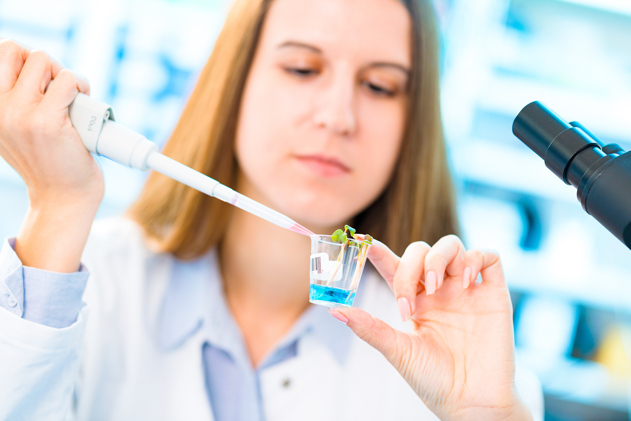 光合作用与能量转化在教材中的地位与作用