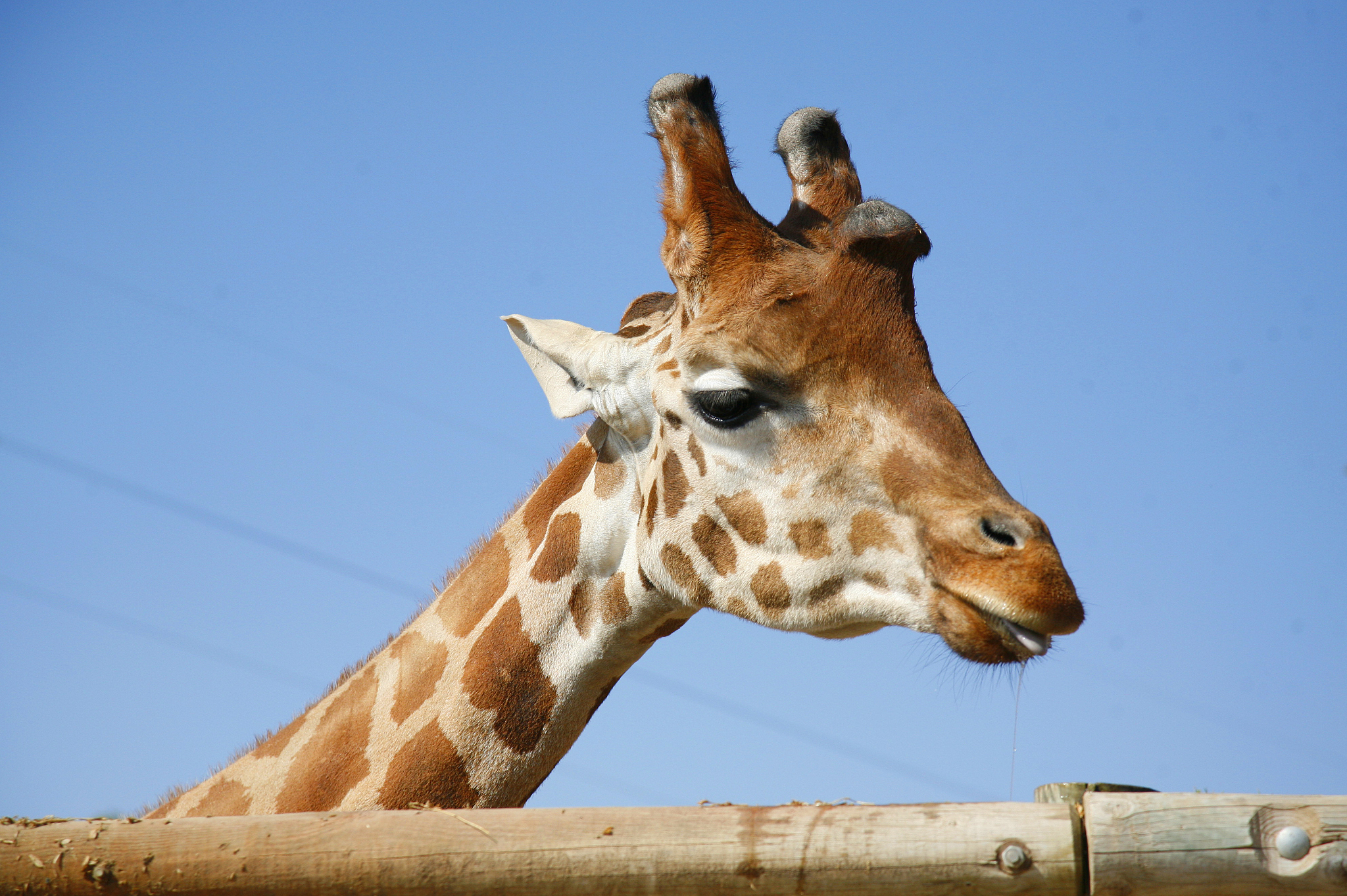郑州有什么游玩的地方