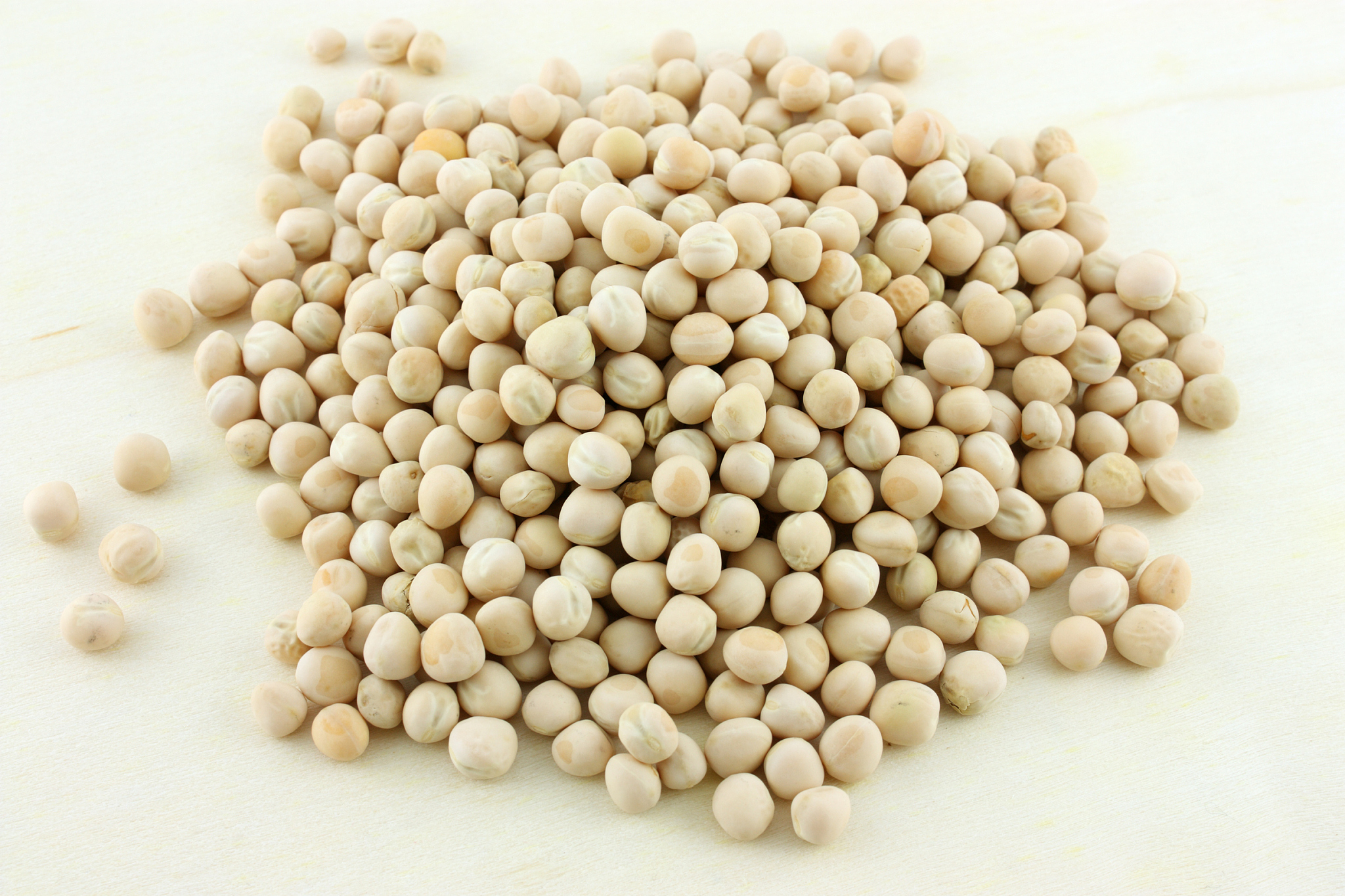 制备植物标本的报告任务完成情况、主要收获与体会