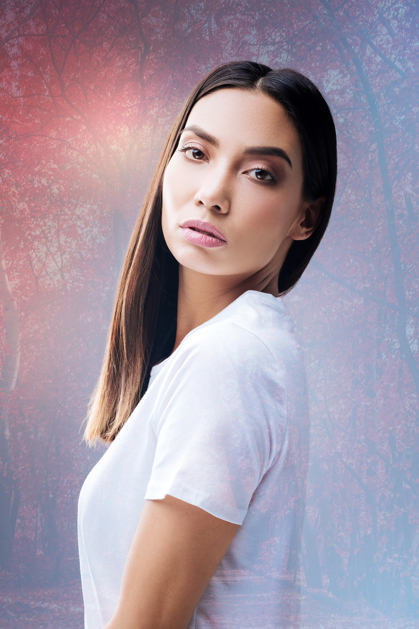 1200字关于摄影的魅力：记录生活中的美好瞬间