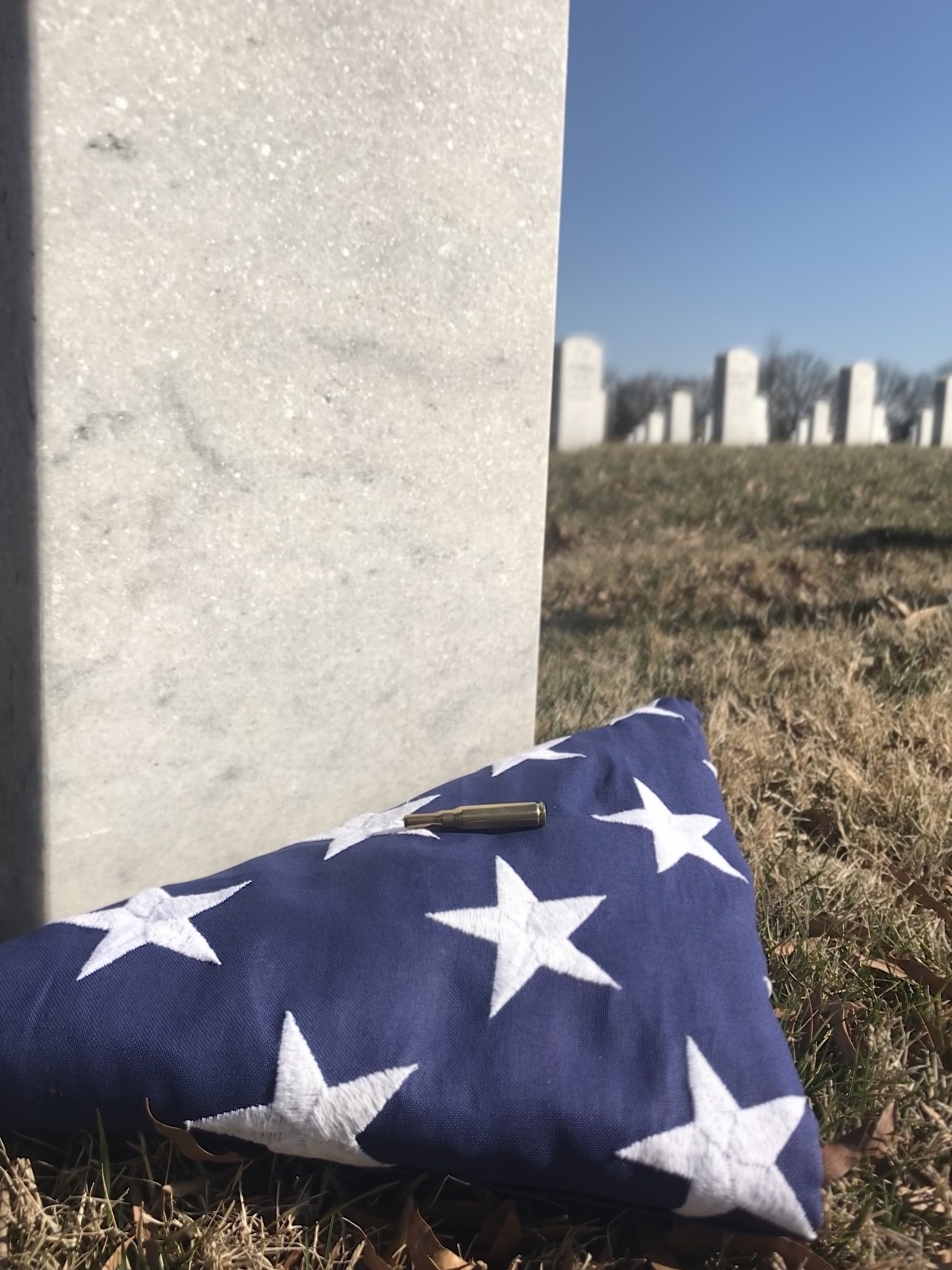 公墓年检内容及流程 - 保障安全与环境质量