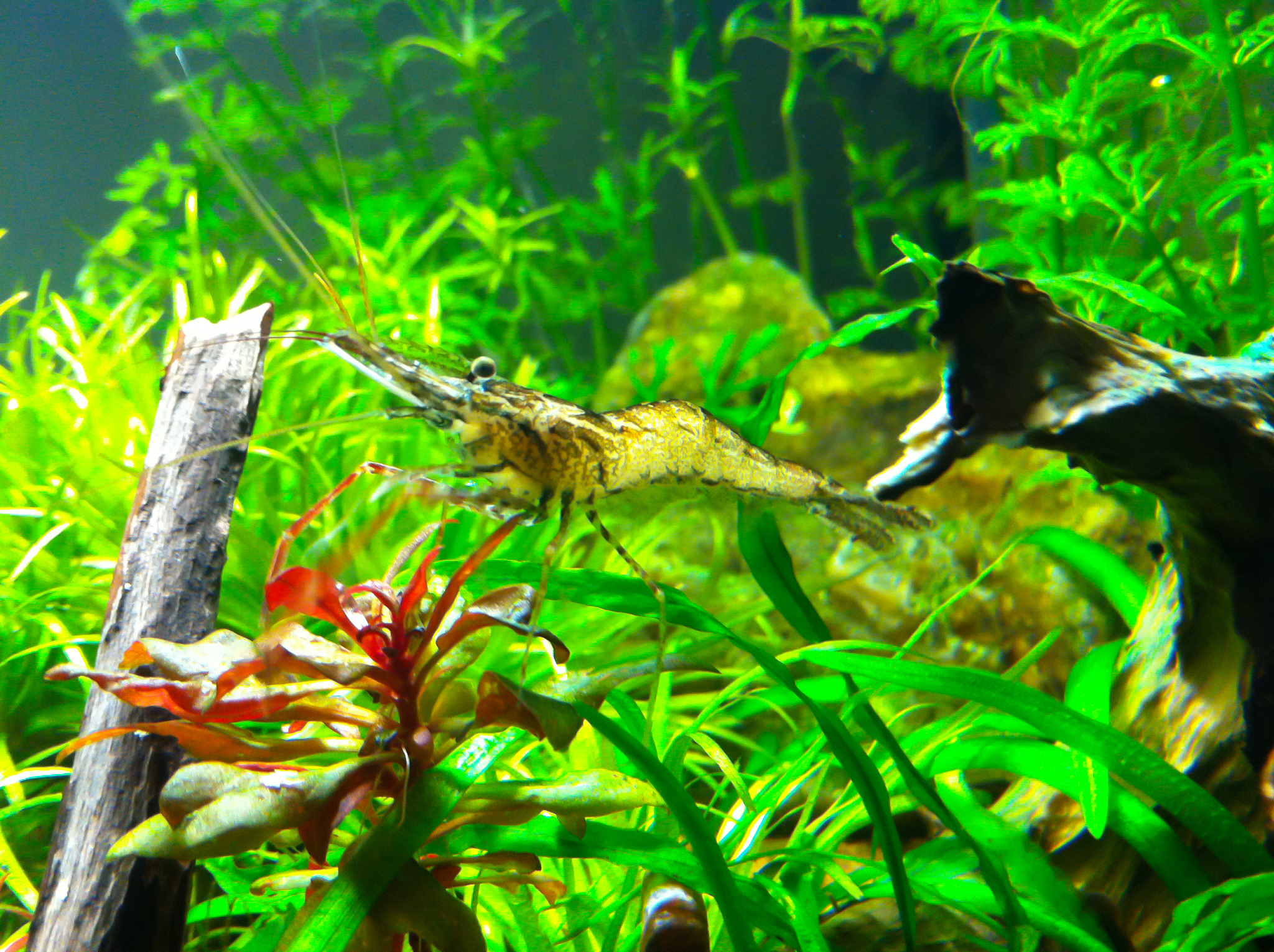 300克水等于多少毫升？简单换算方法！