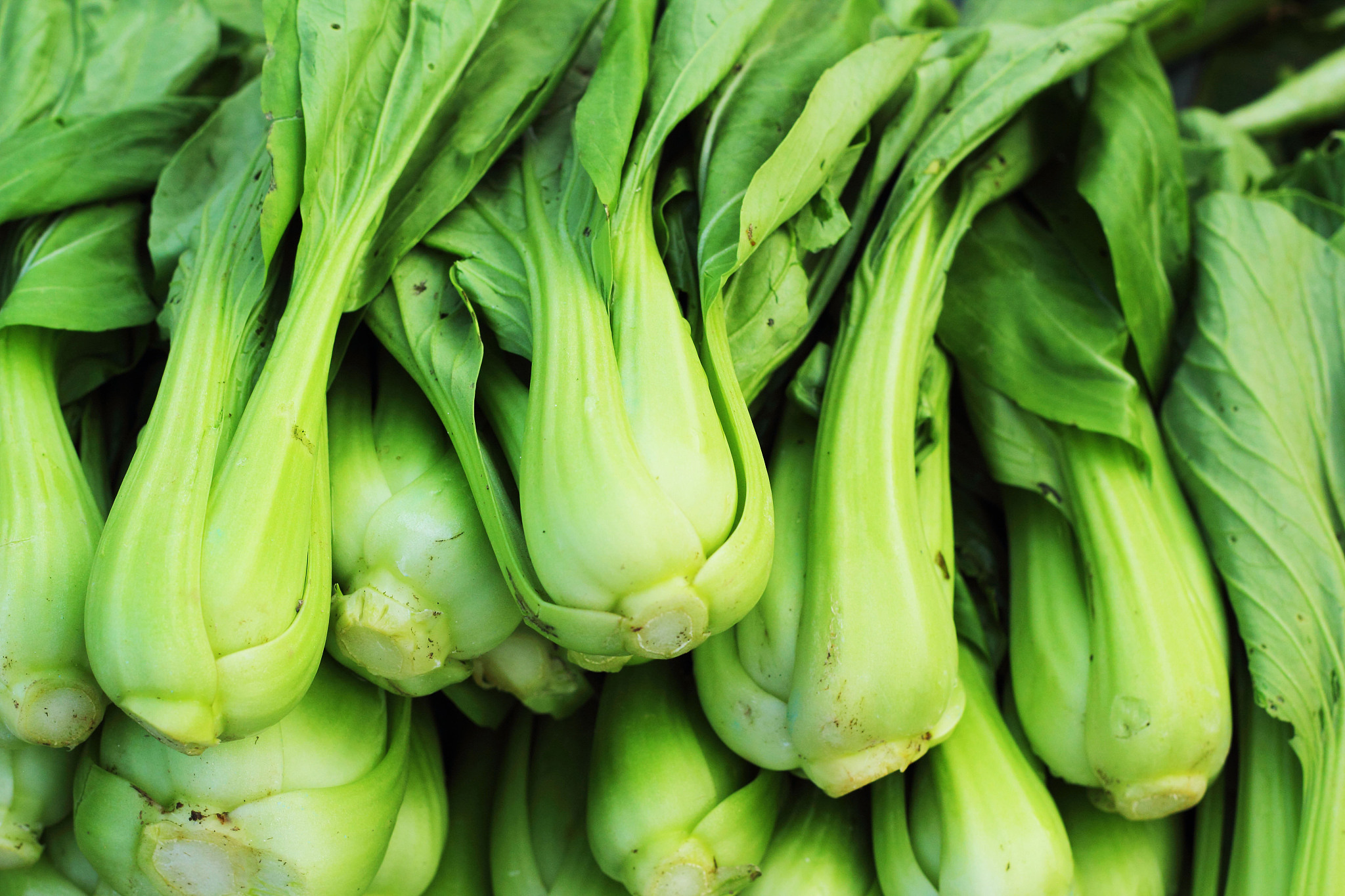 浙江万里学院生物工程专业就业前景