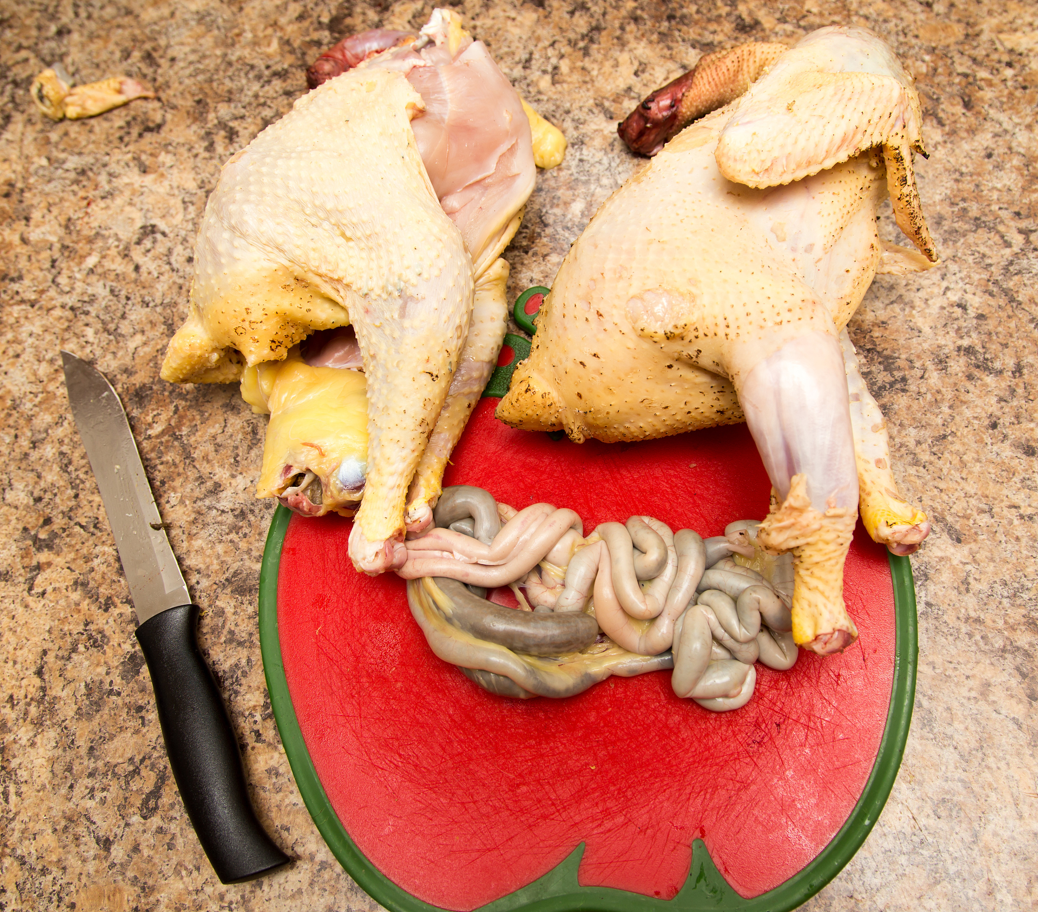 鸡为什么吃石子