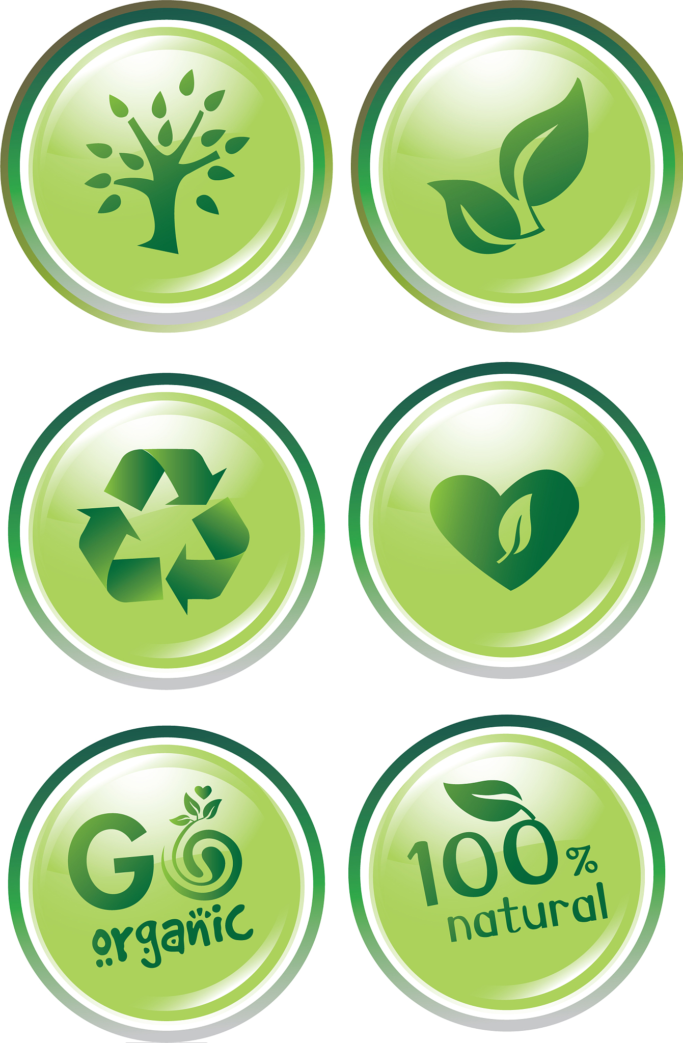 ecology