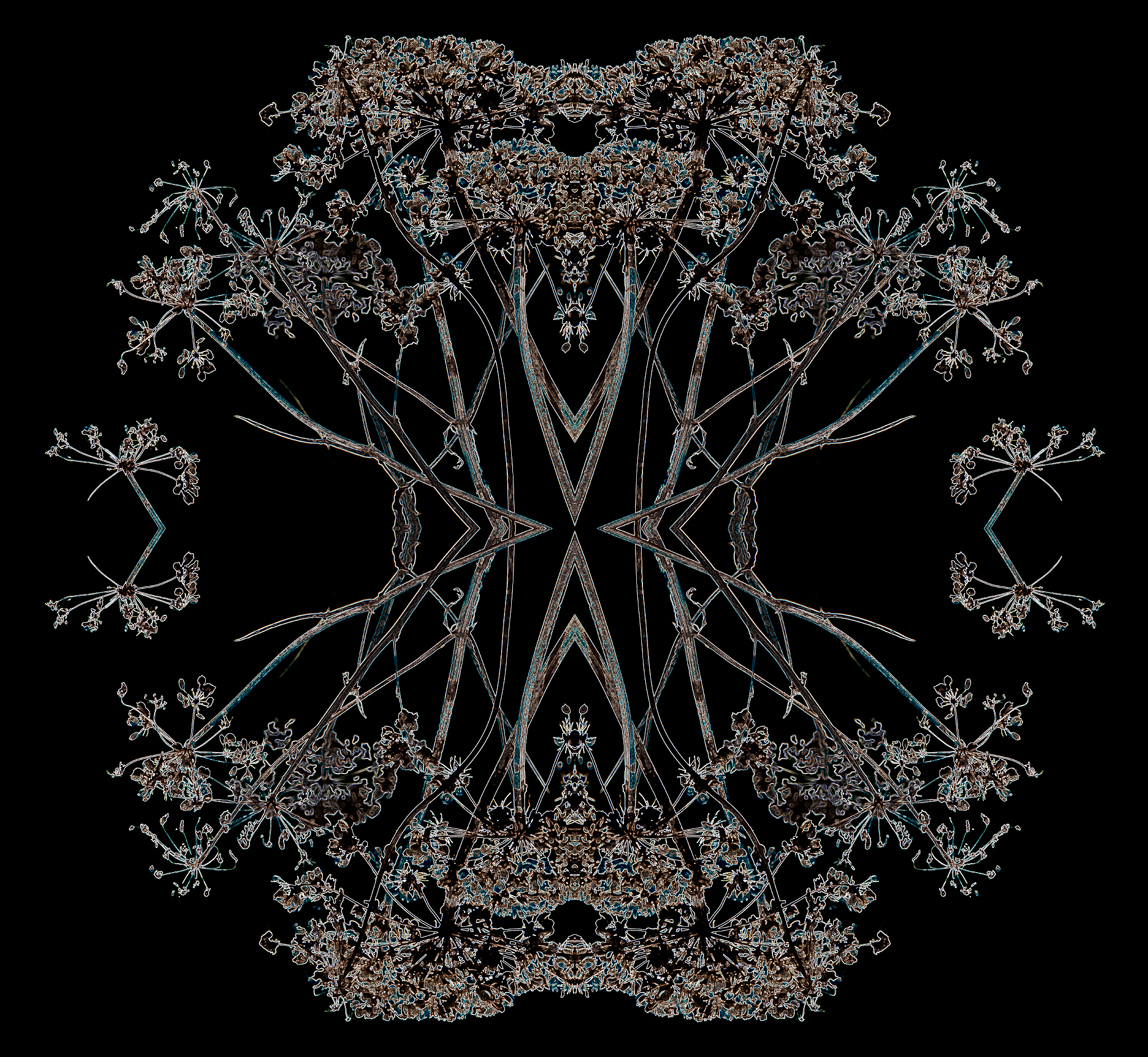 seed heads pattern