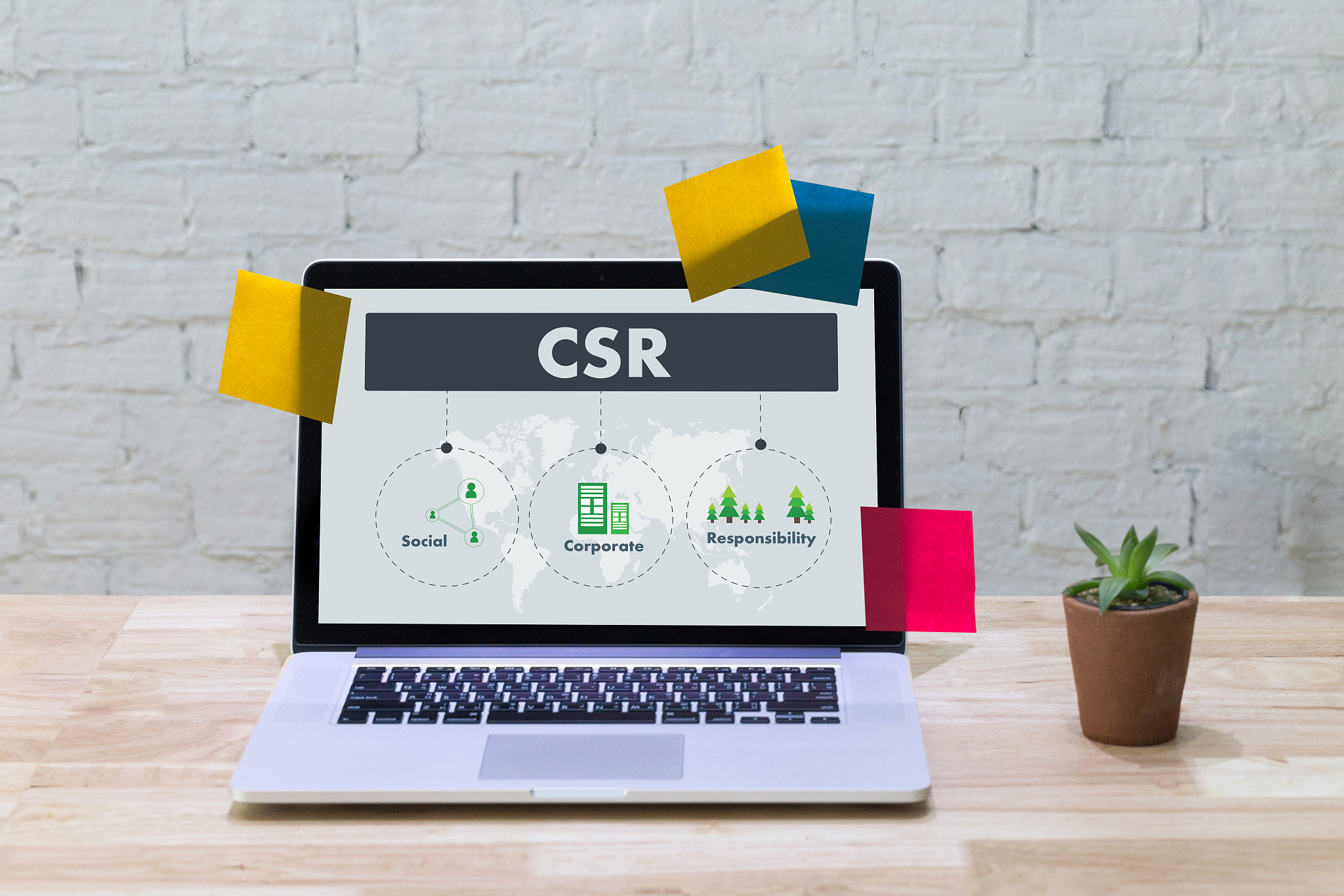 供应商认证现场体系审核流程详解