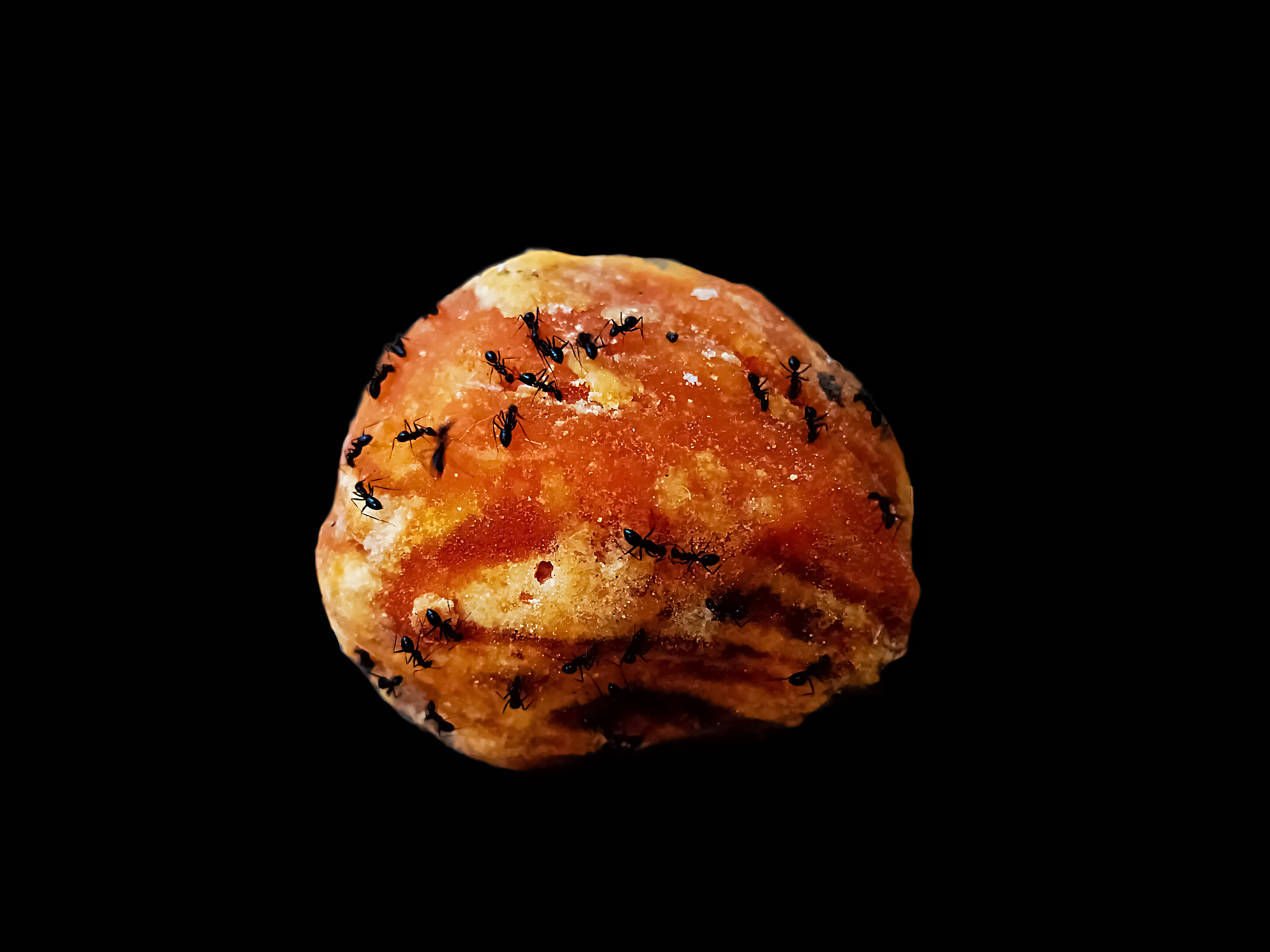 怎么将这个设置为只读 div class=padding 20px; a-form form=recordForm a-dividera-divider dynamic-form ref=dynamicRef