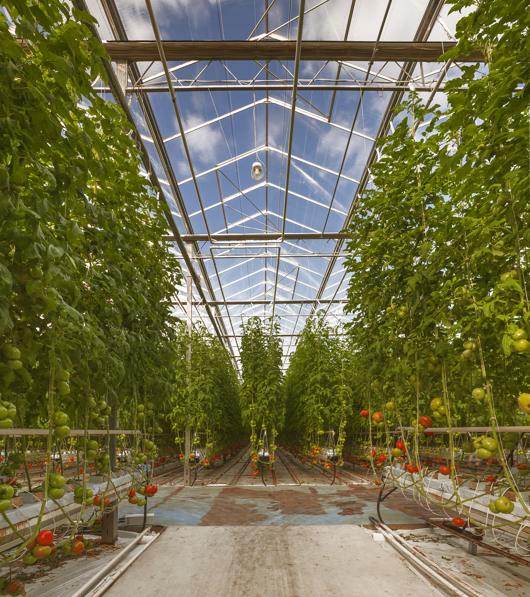 greenhouse technology