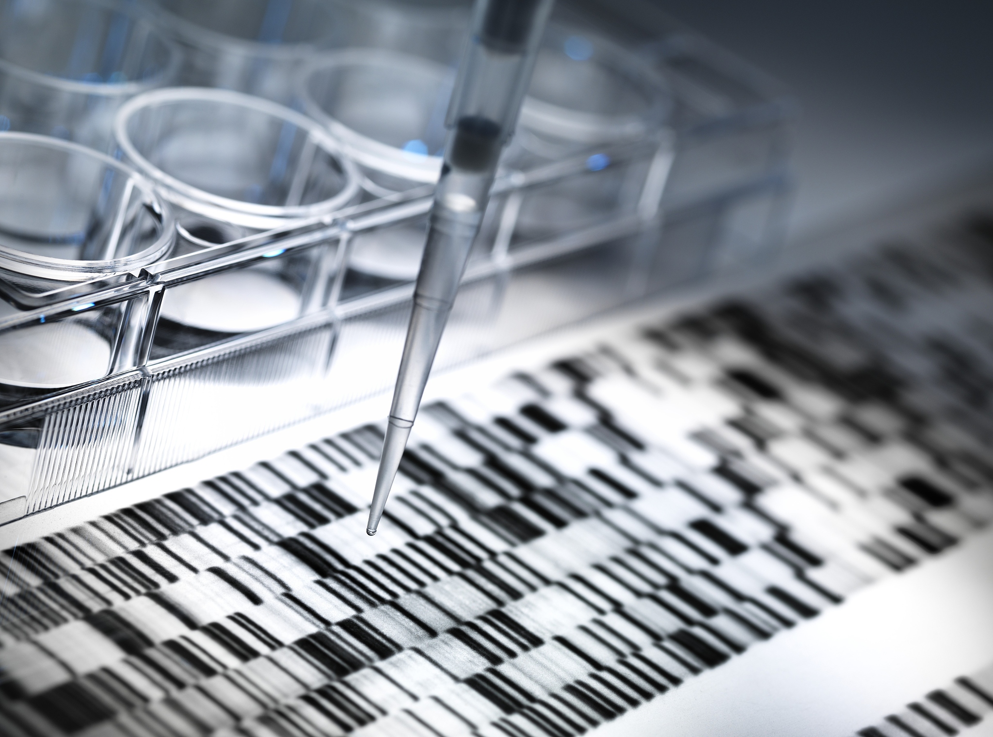 Schrodinger公司: 计算化学与人工智能驱动的药物研发创新者