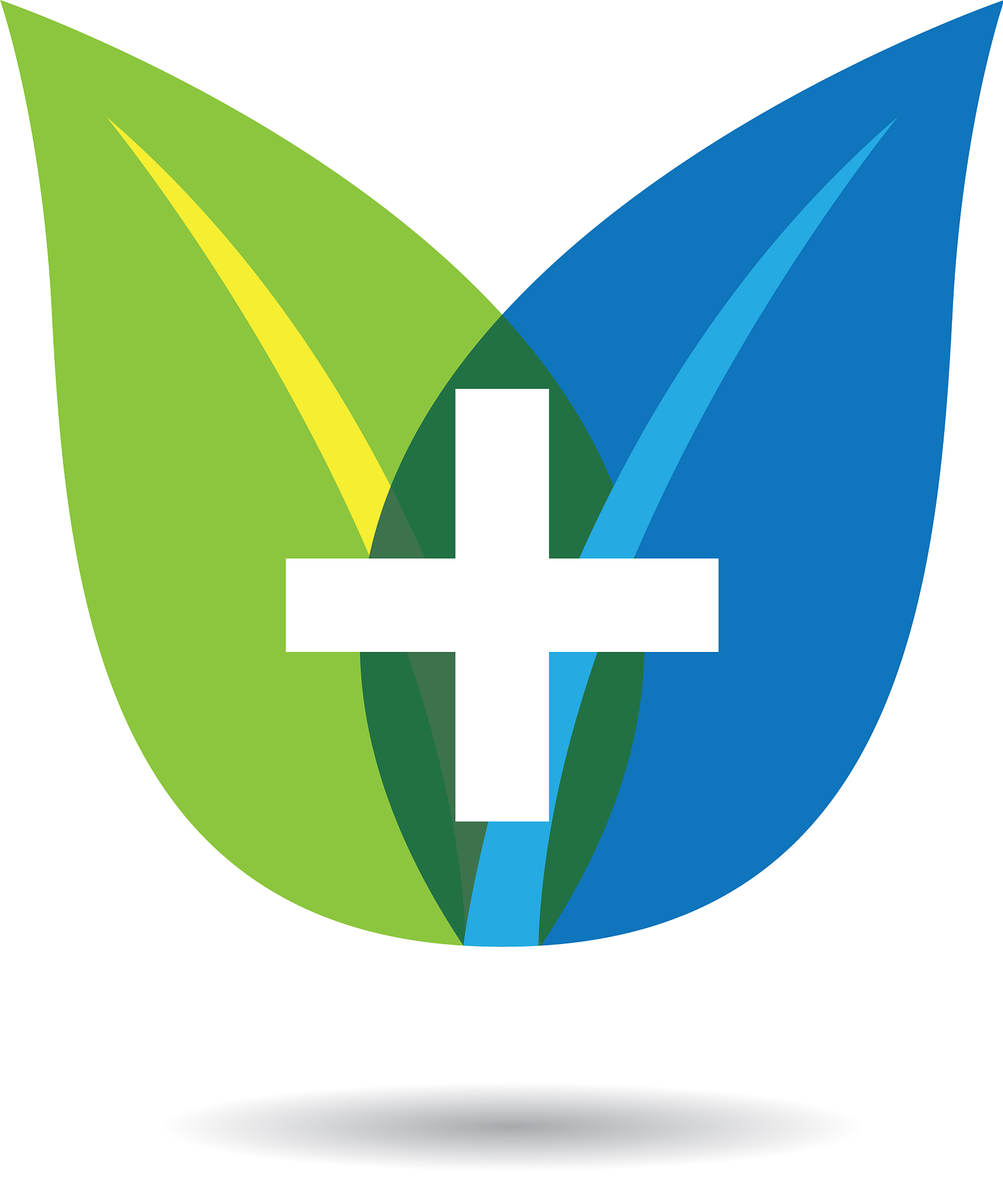 medical icon design