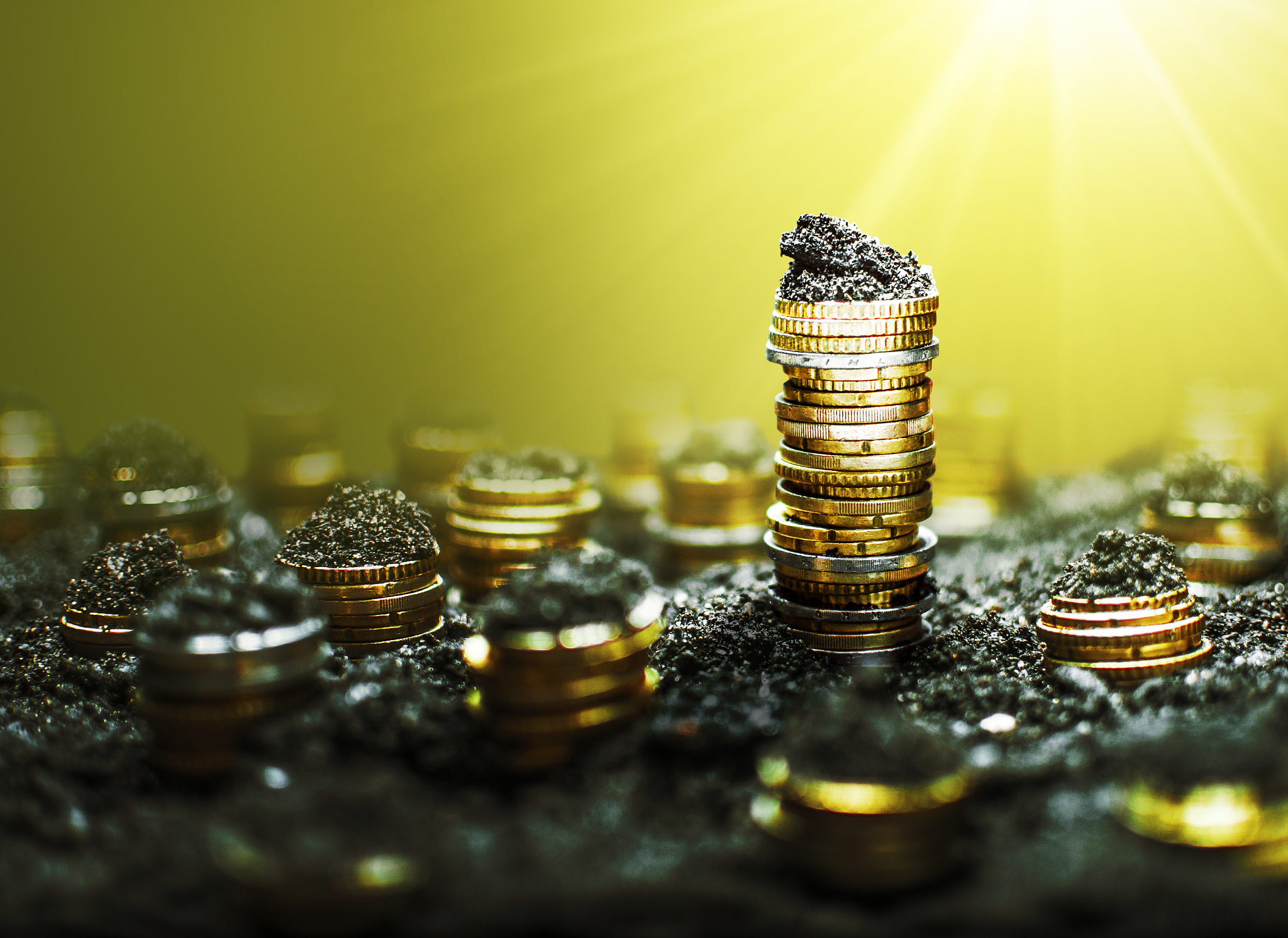 命主的八字为 辛巳 壬辰 壬戌 壬寅 命主能发多大的财