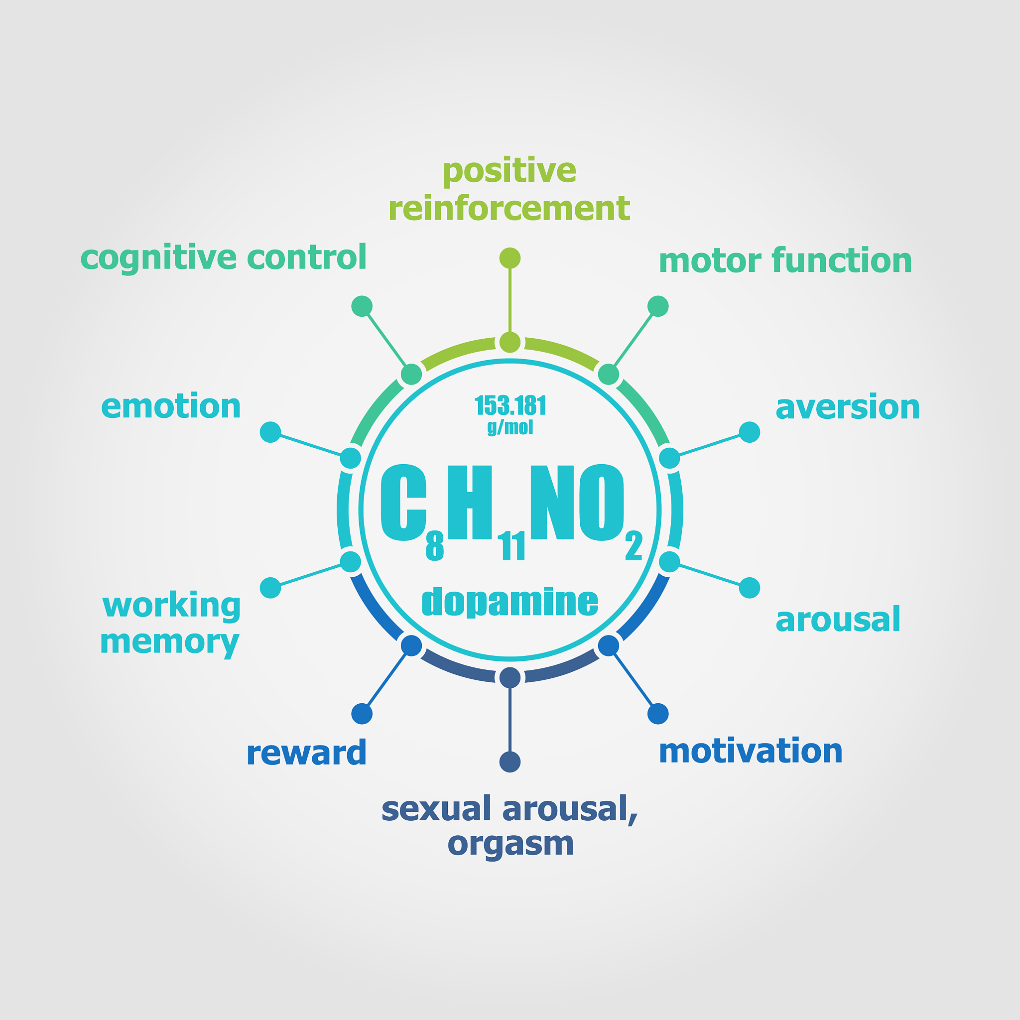 多巴胺功效：提升情绪、促进学习、控制运动，了解多巴胺对你的影响