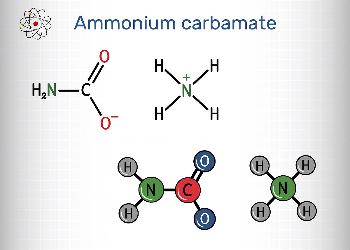 rosetta的atom_type S对应的三个原子是什么