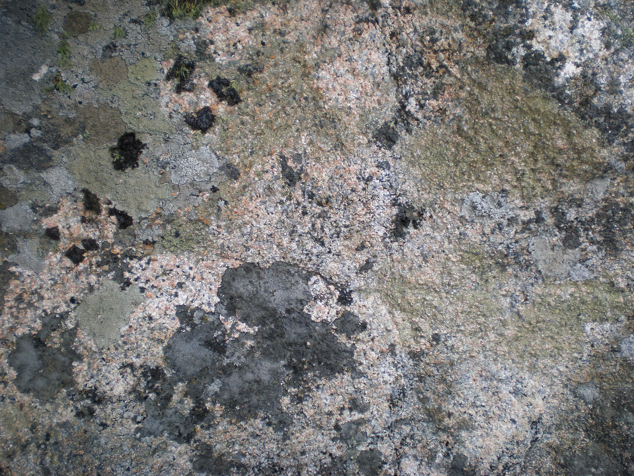 辽河平原是怎么堆积而成的