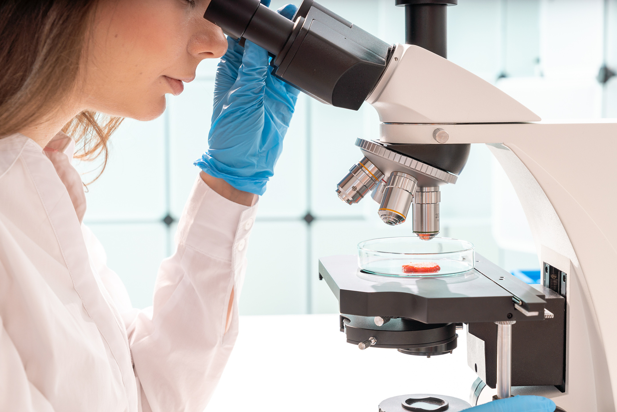 草莓果酱品质分析实验设计：从实验流程到数据分析