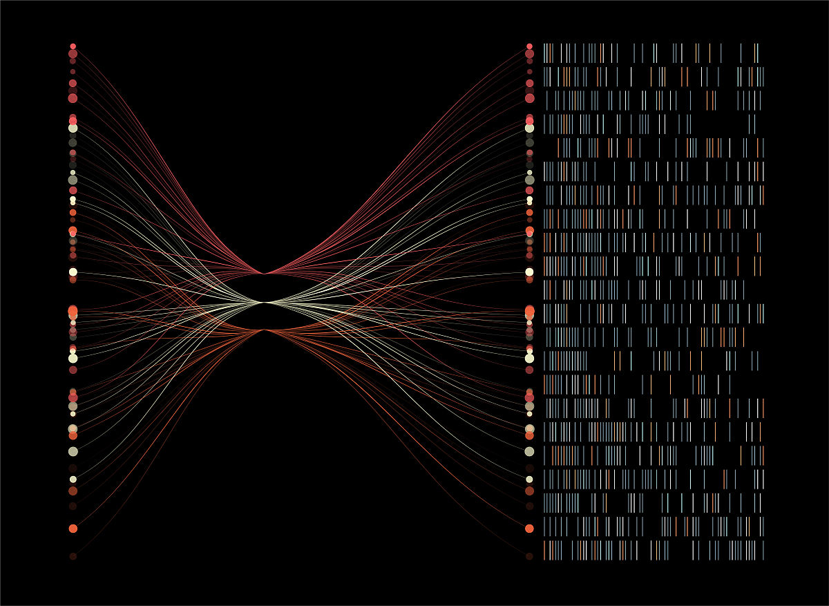 使用遗传算法计算多波束测线问题