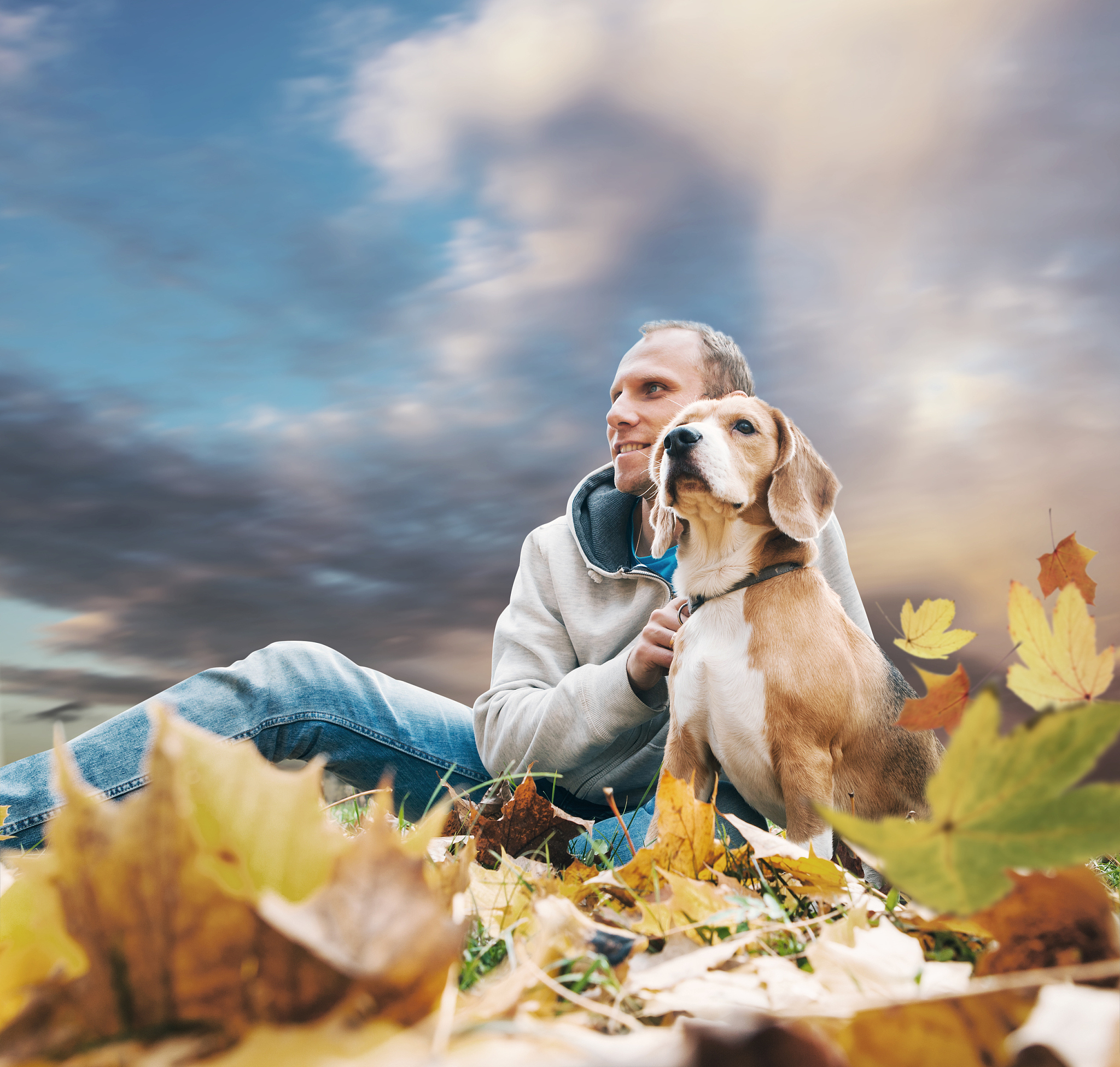 摄影技巧：人像、风景和动物拍摄指南