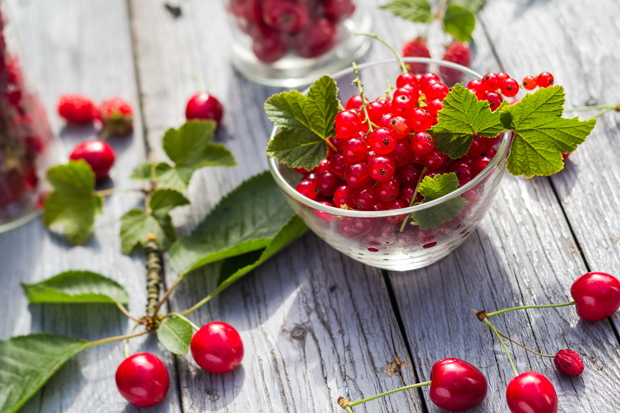 freshly picked fruits currants cherries table
