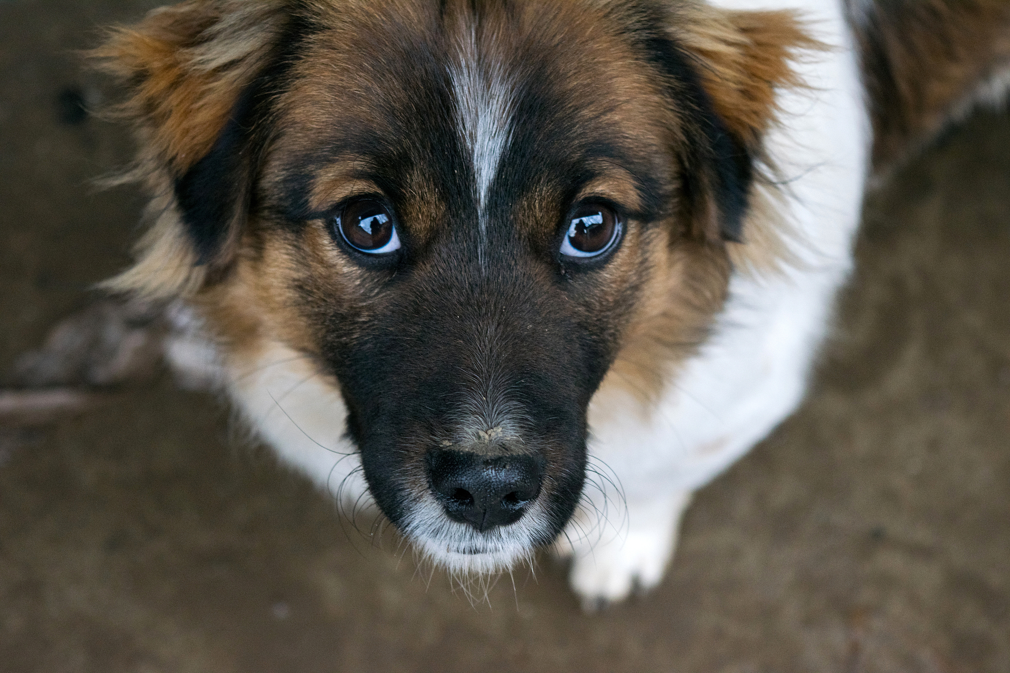 写20条关于友情的文章标题