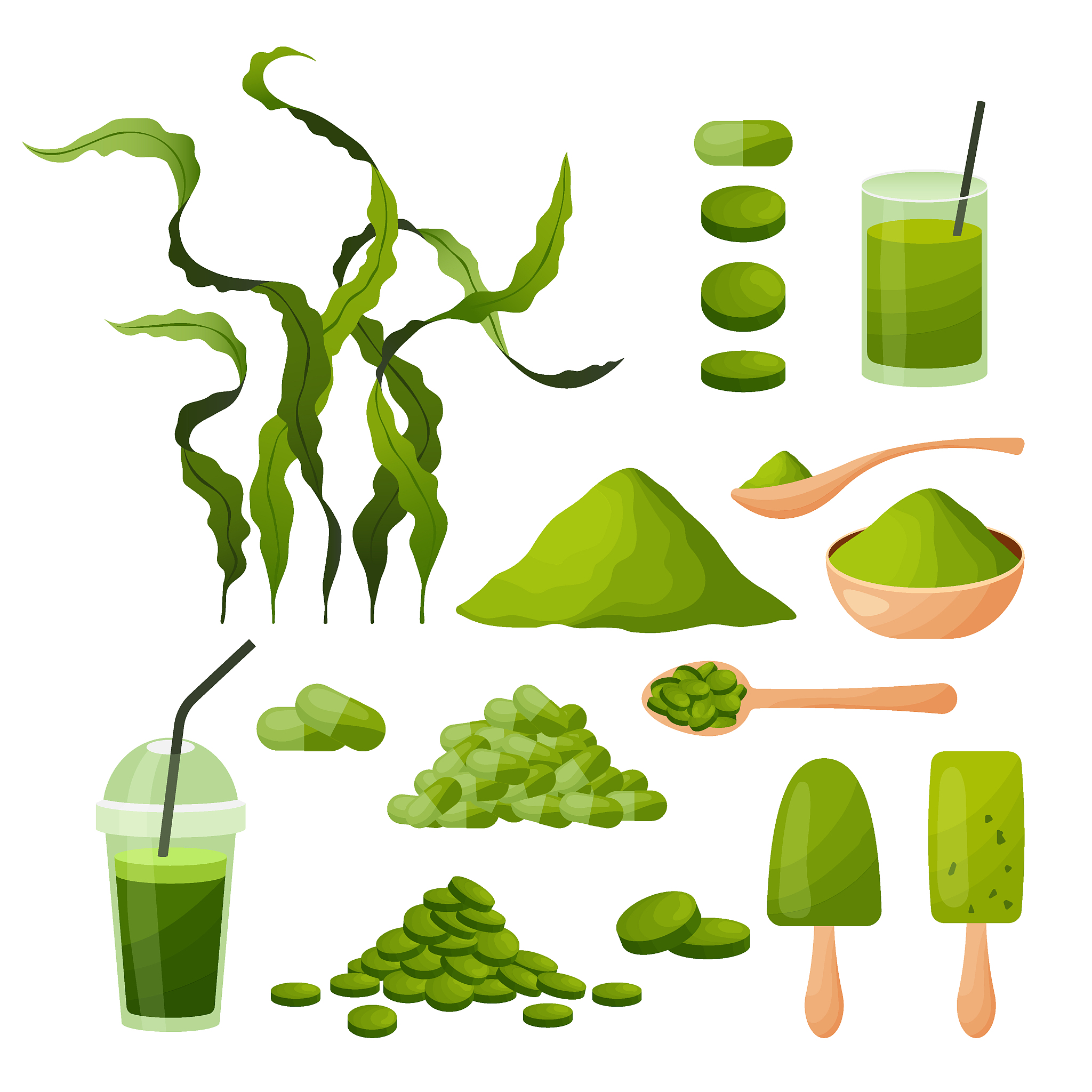 spirulina cartoon set with seaweeds powder tablets capsules smoo